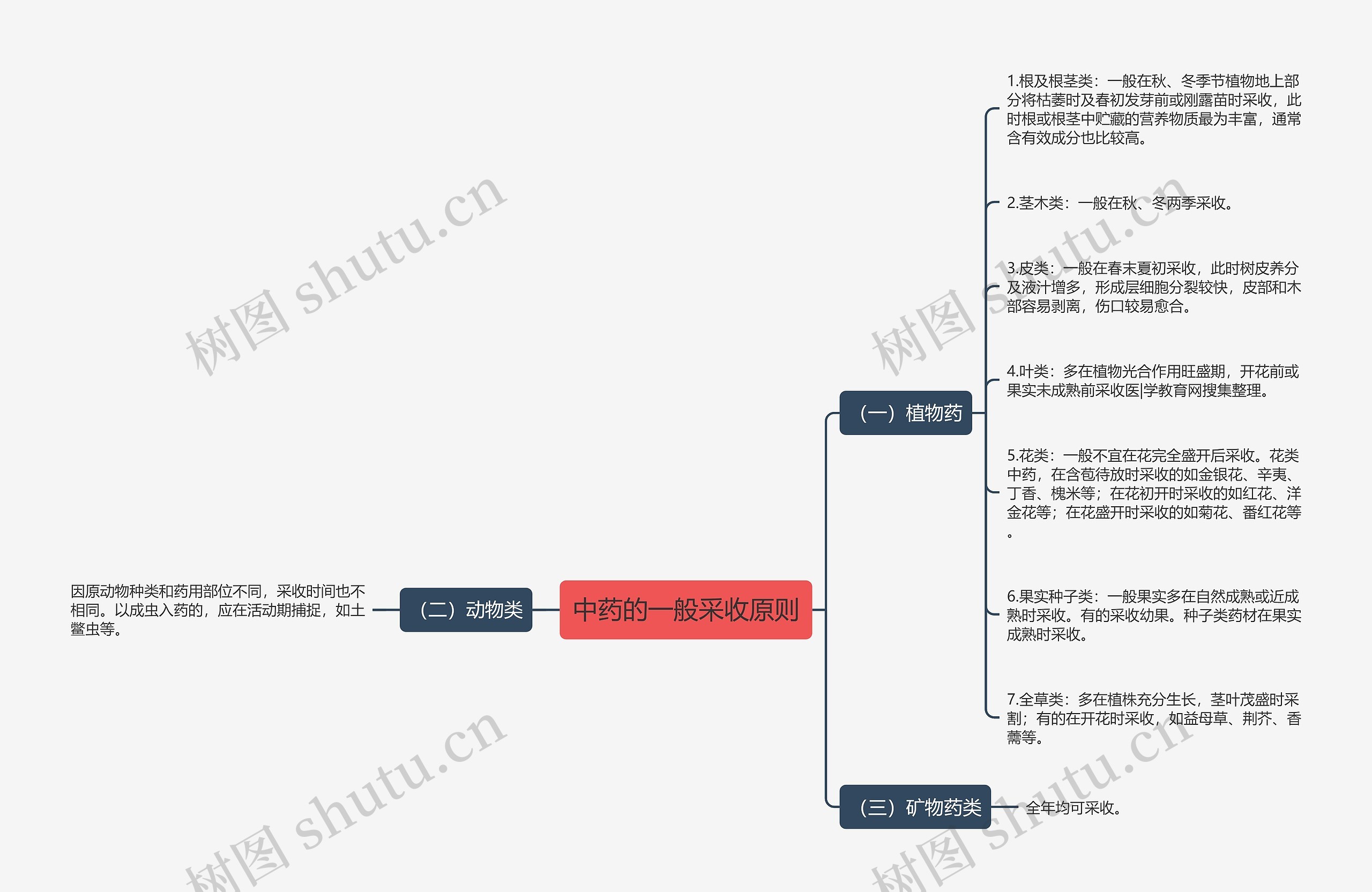 中药的一般采收原则思维导图