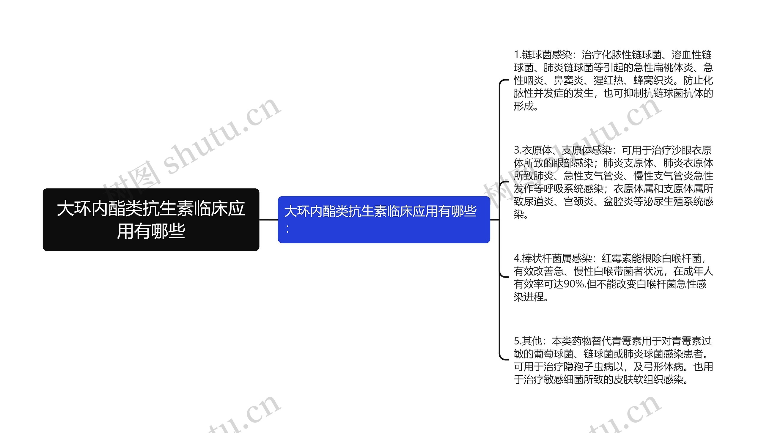 大环内酯类抗生素临床应用有哪些思维导图