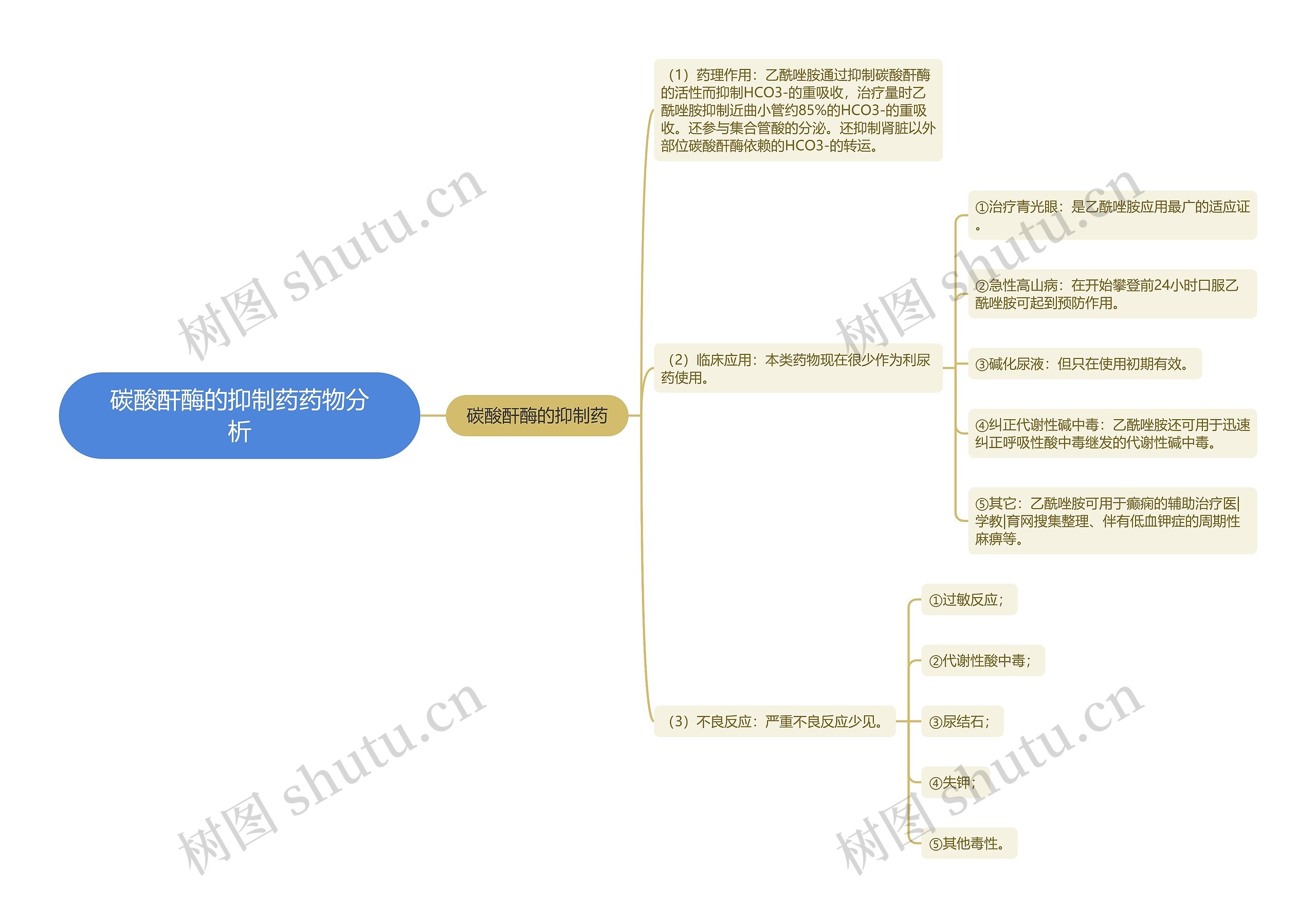 碳酸酐酶的抑制药药物分析思维导图