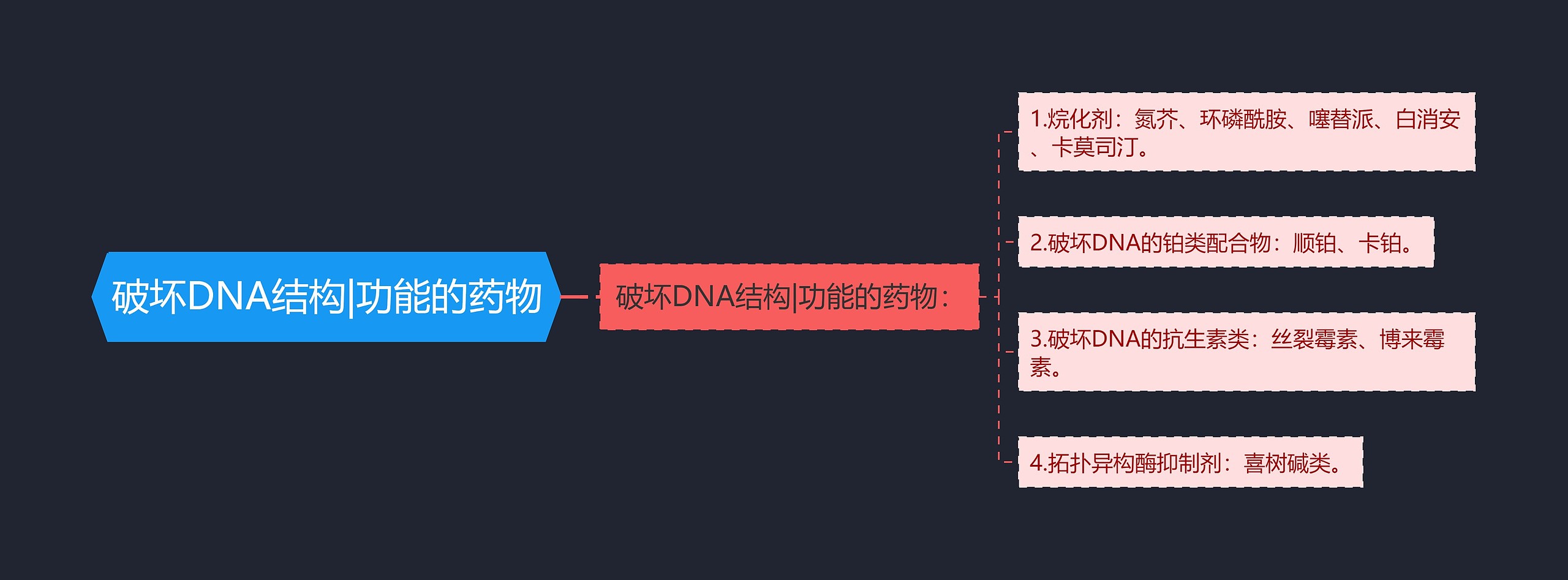 破坏DNA结构|功能的药物