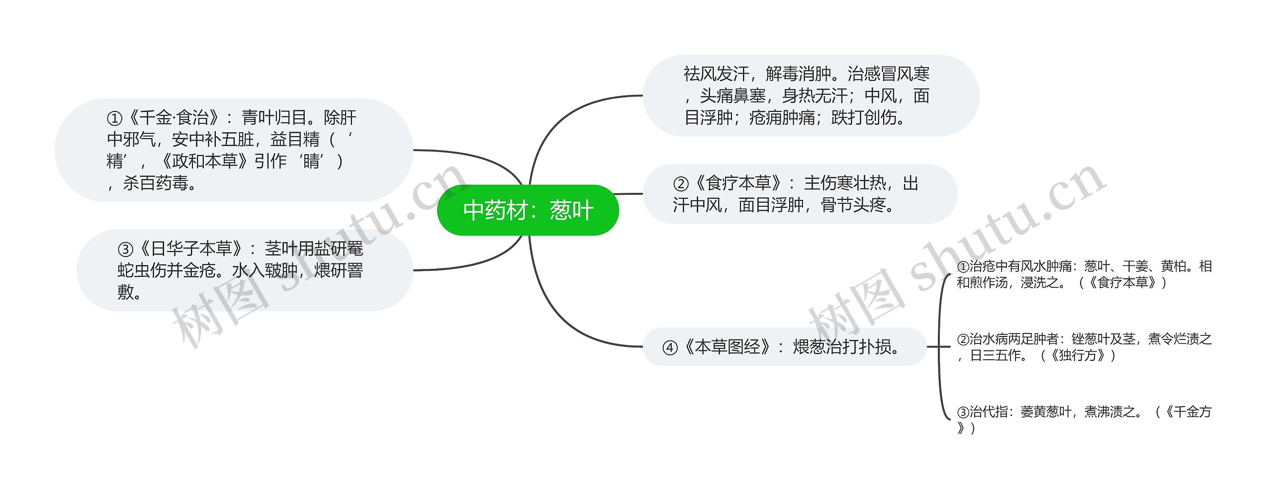 中药材：葱叶思维导图