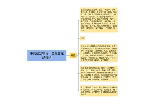 中药鉴定辅导：金钱白花蛇鉴别