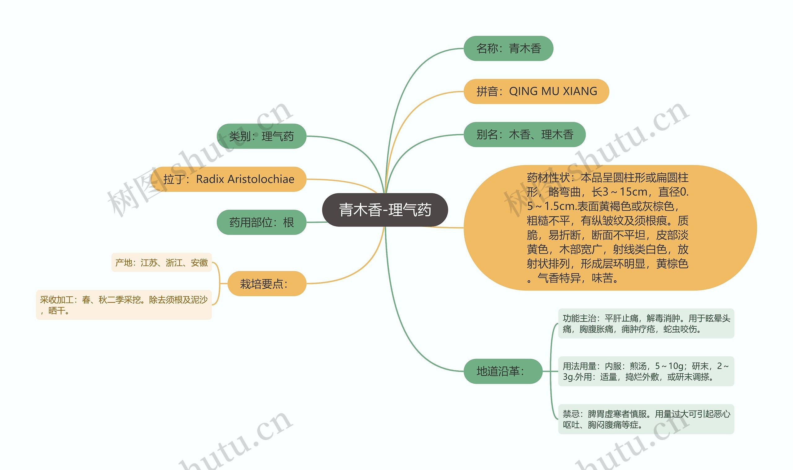 青木香-理气药思维导图