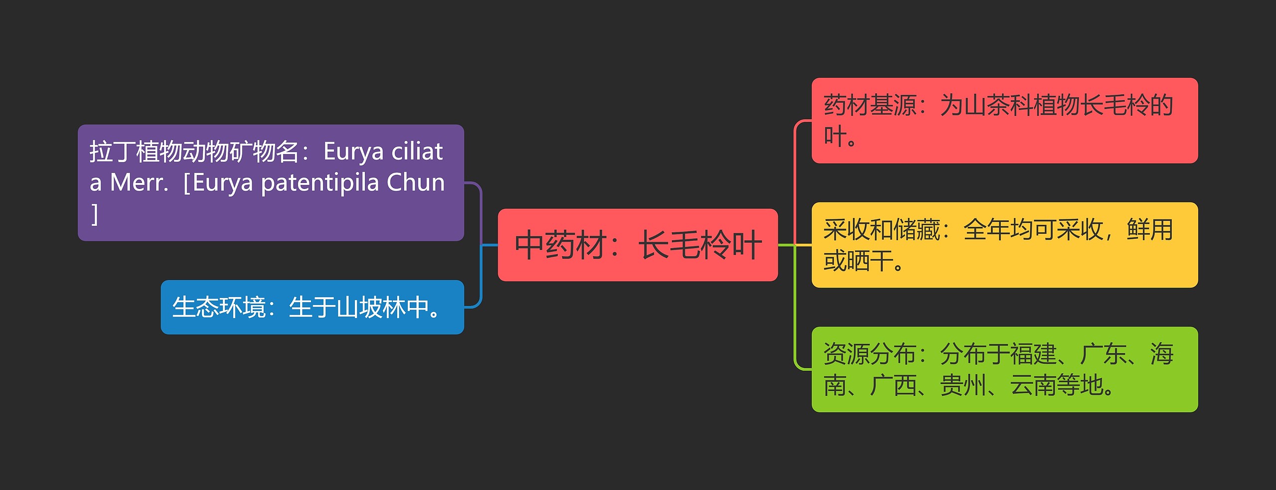 中药材:长毛柃叶 中药材:长毛柃叶