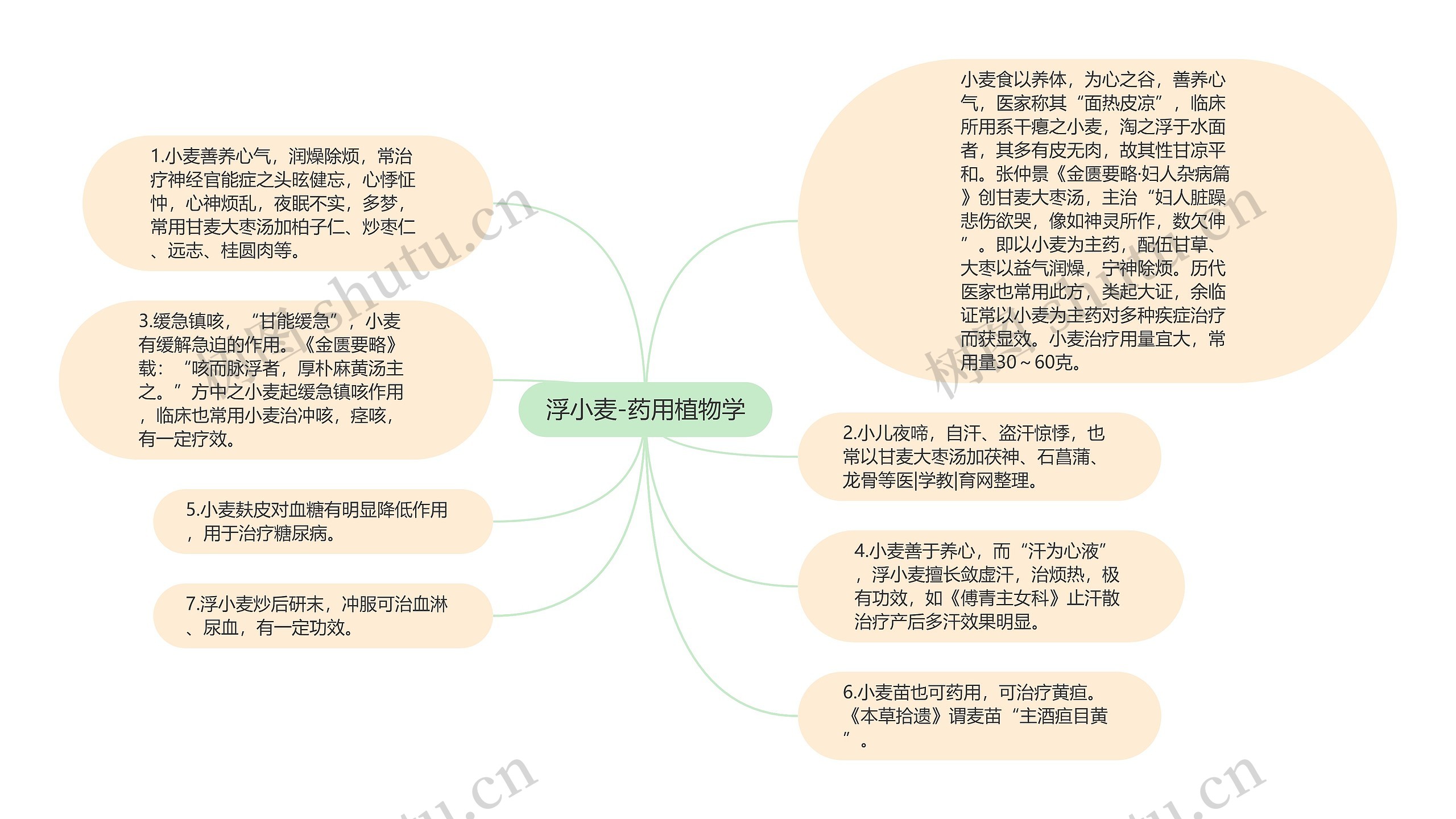 浮小麦-药用植物学思维导图