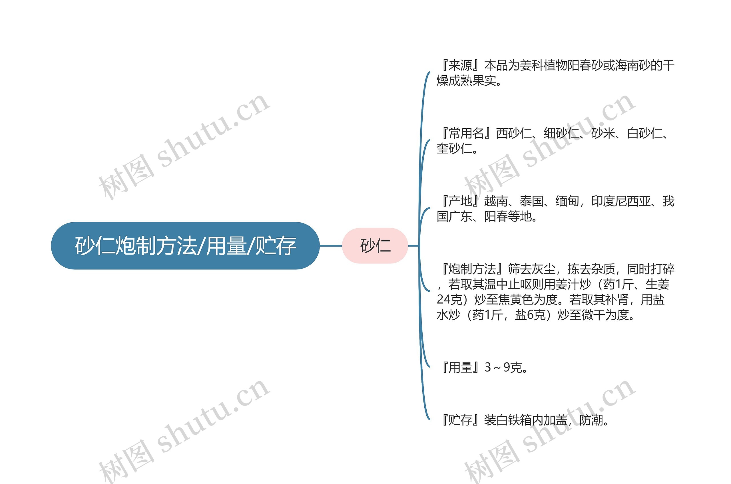 砂仁炮制方法/用量/贮存思维导图