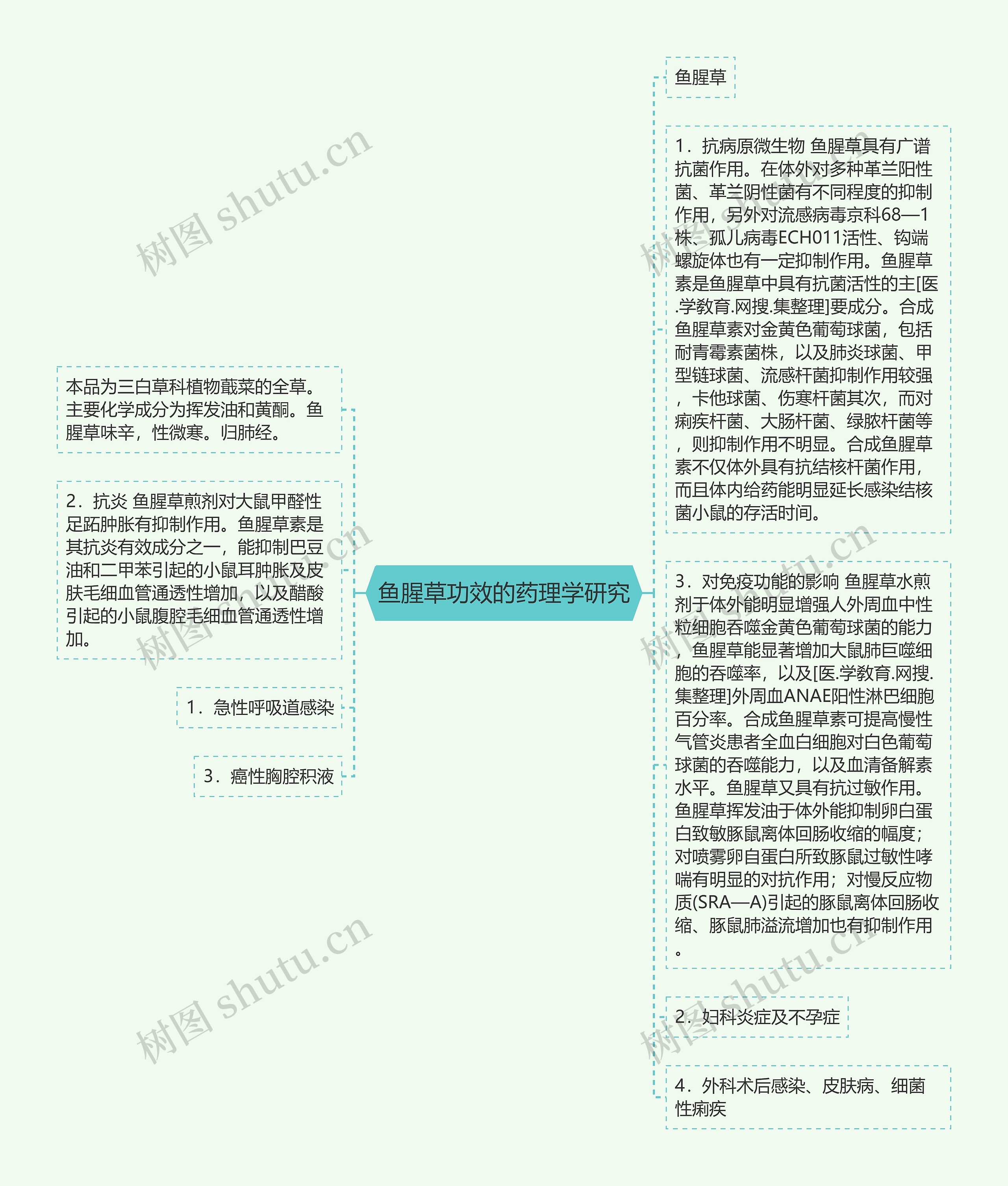 鱼腥草功效的药理学研究