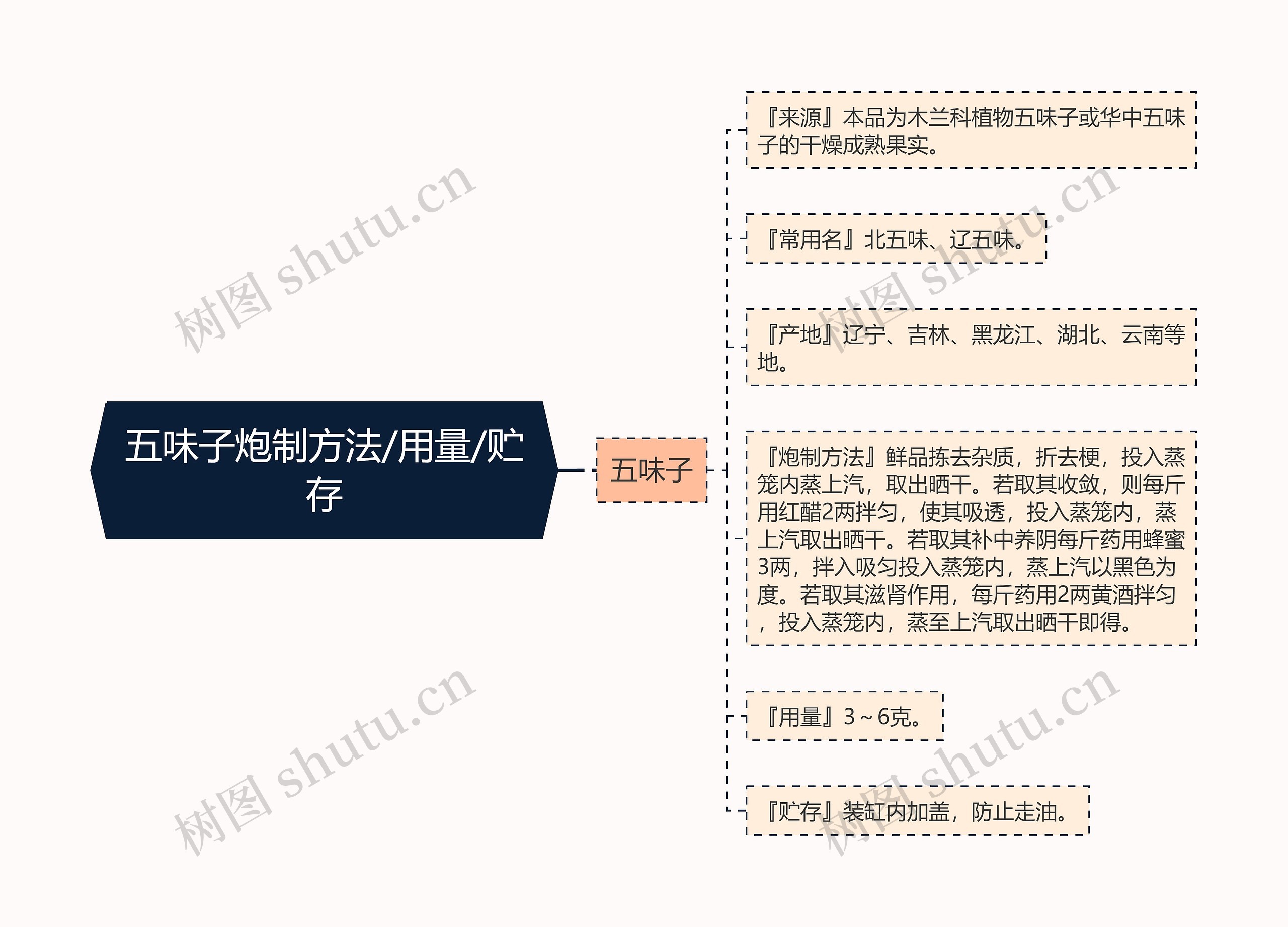 五味子炮制方法/用量/贮存思维导图