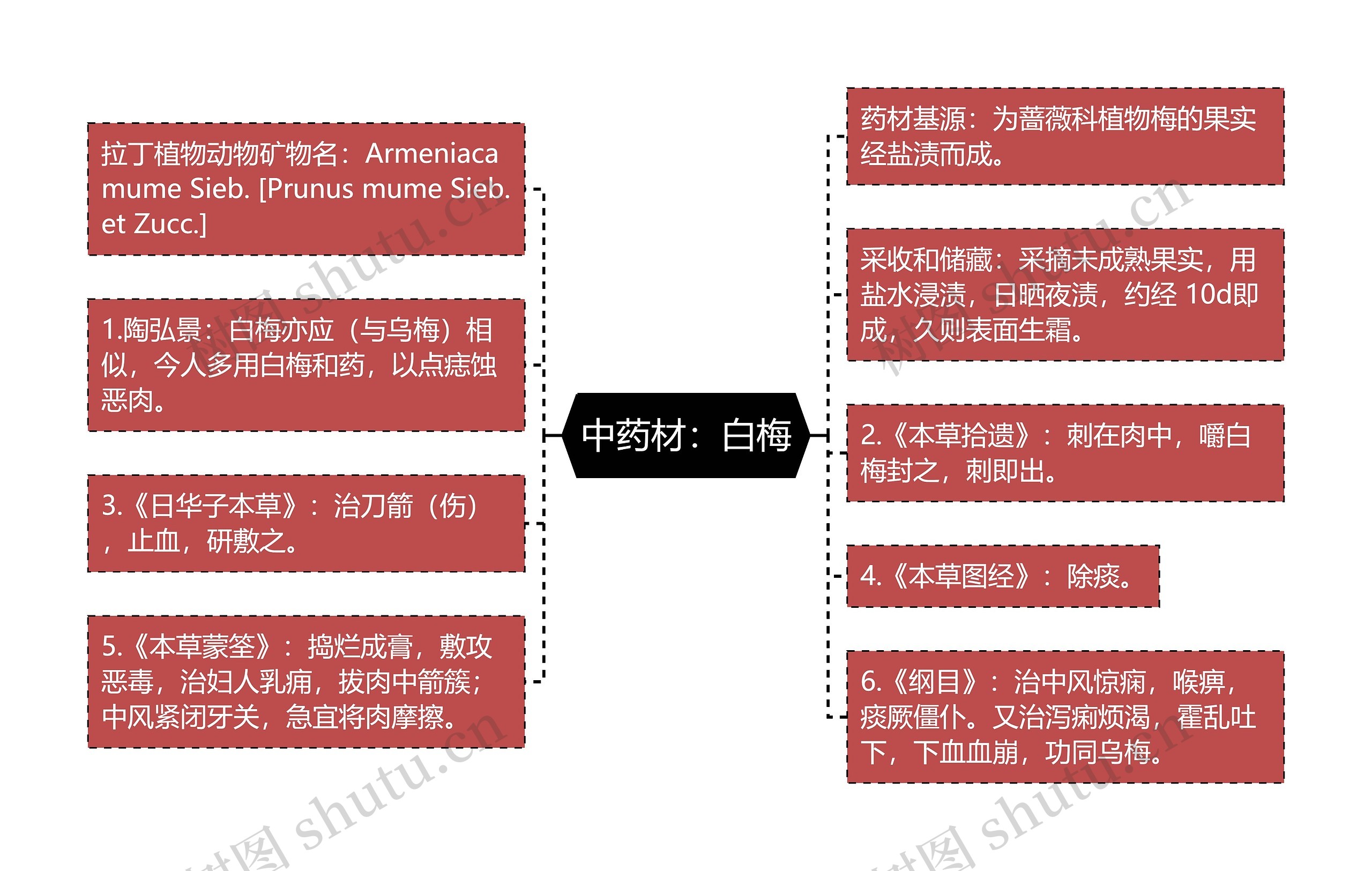 中药材：白梅思维导图