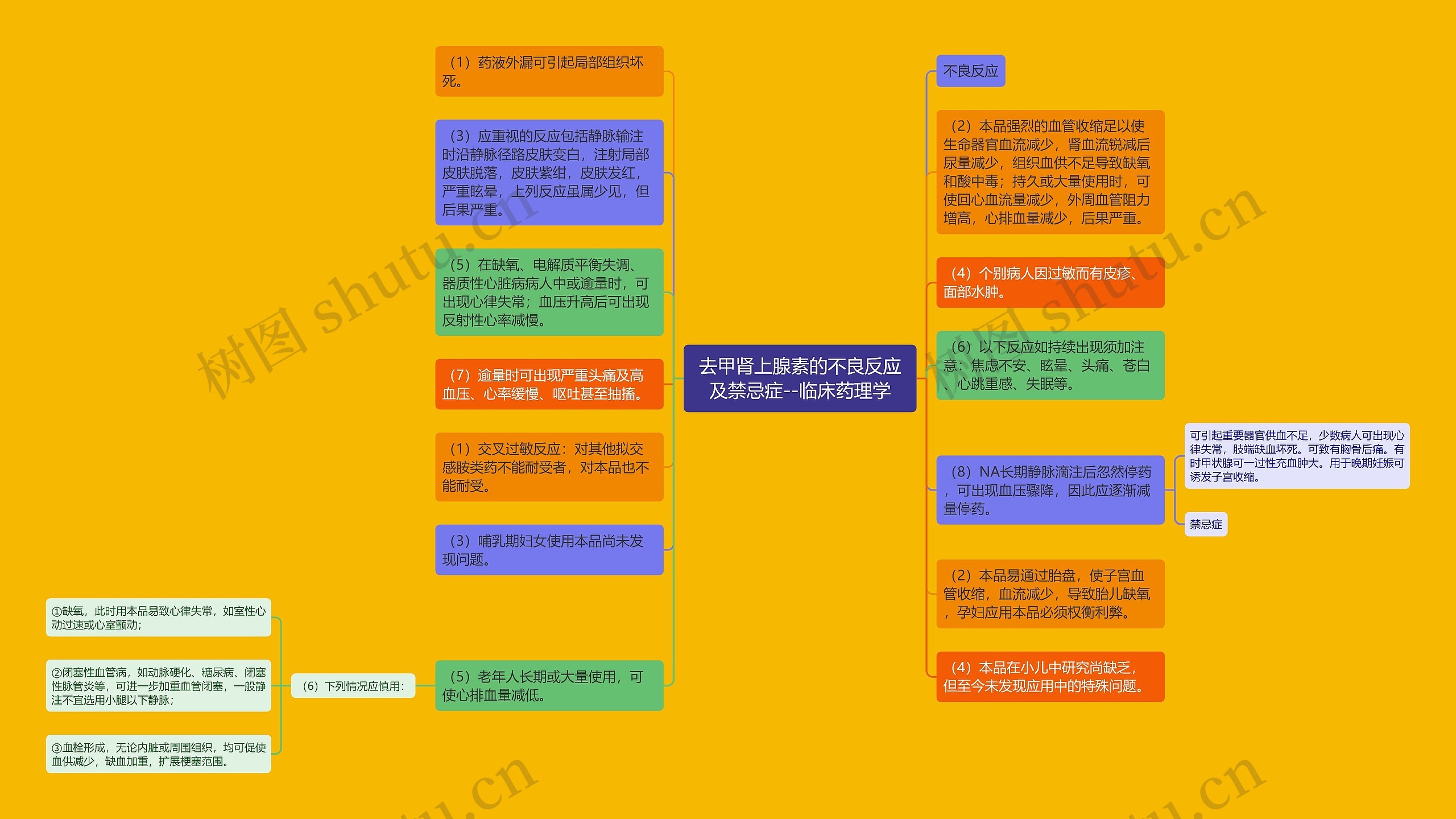 去甲肾上腺素的不良反应及禁忌症--临床药理学思维导图