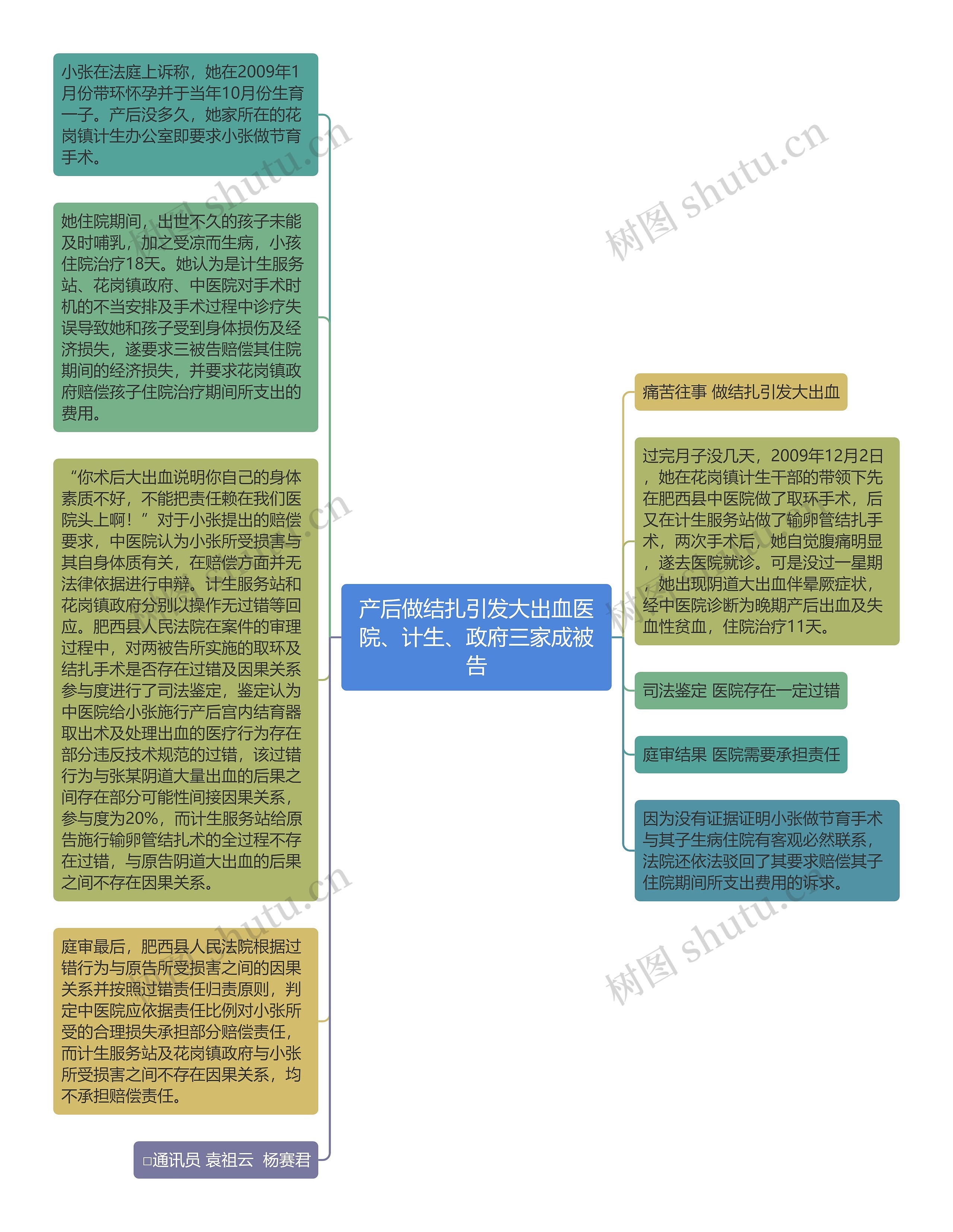 产后做结扎引发大出血医院、计生、政府三家成被告思维导图