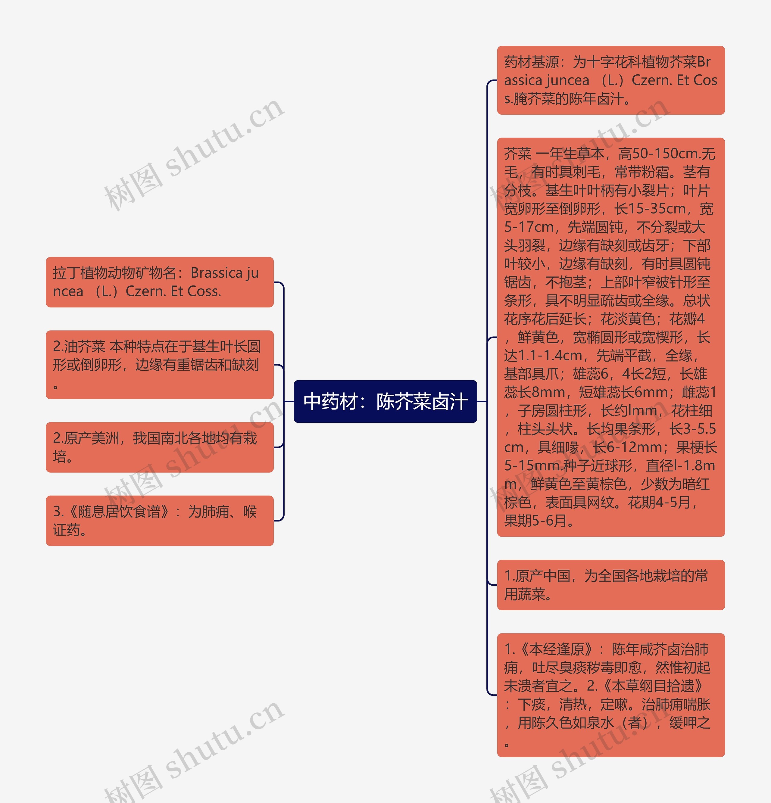 中药材：陈芥菜卤汁思维导图