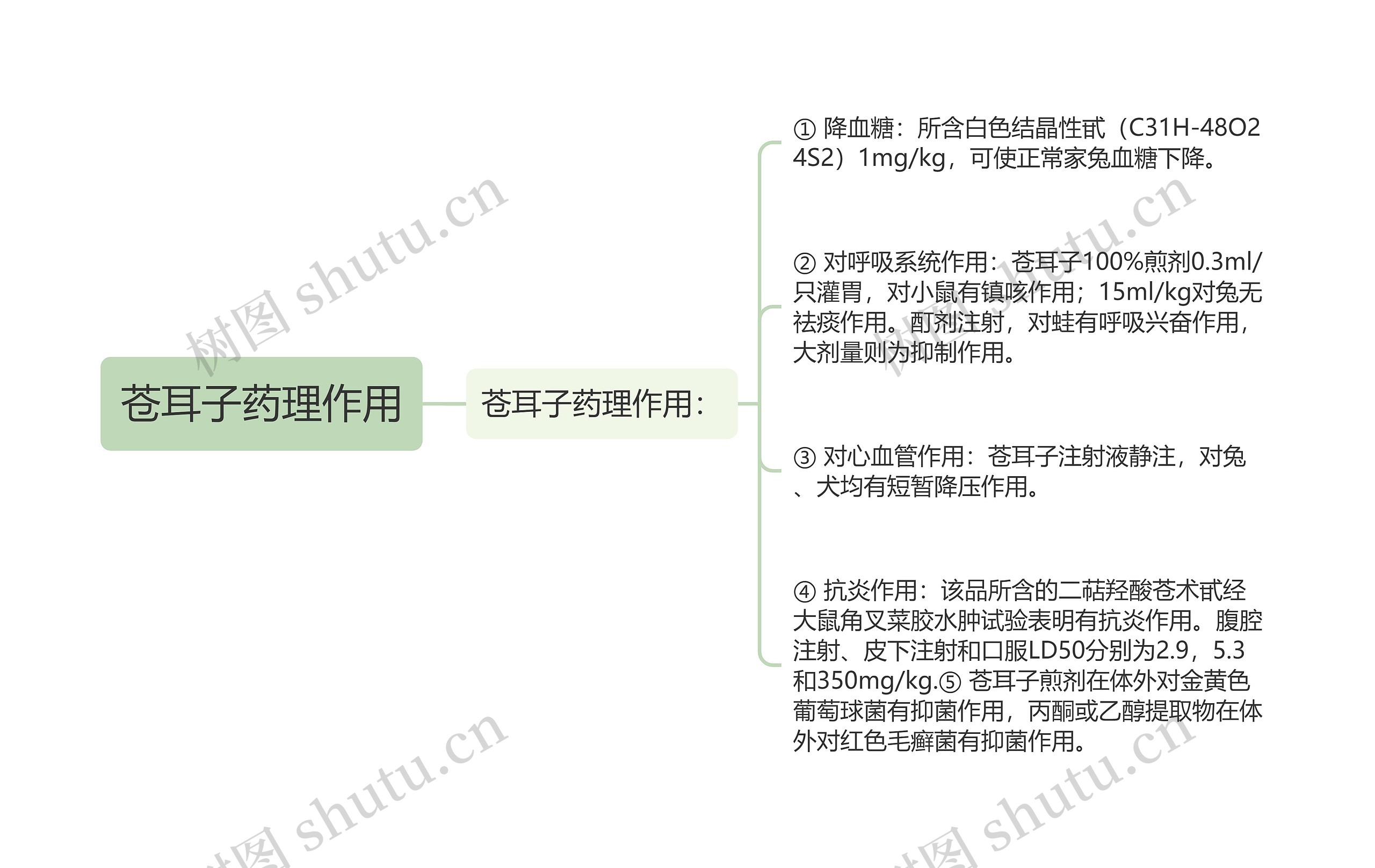 苍耳子药理作用思维导图