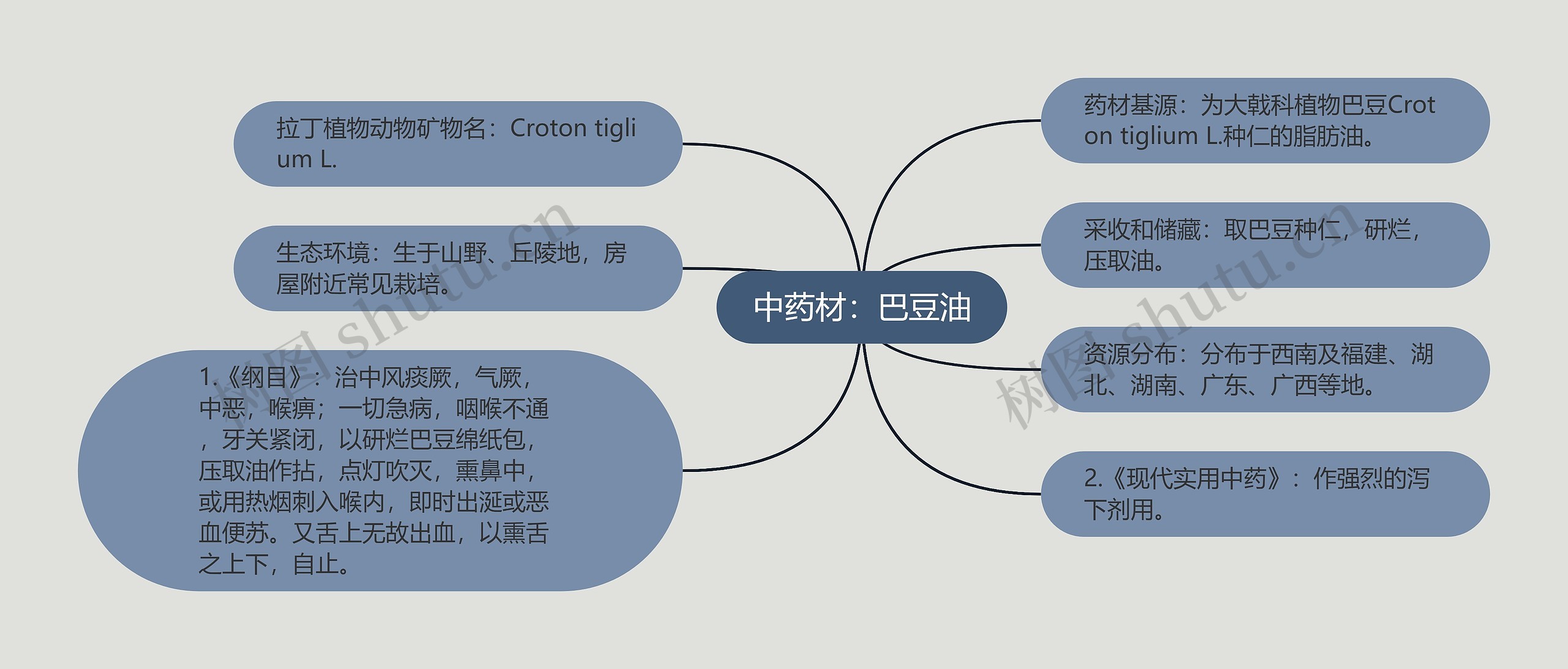 中药材：巴豆油思维导图