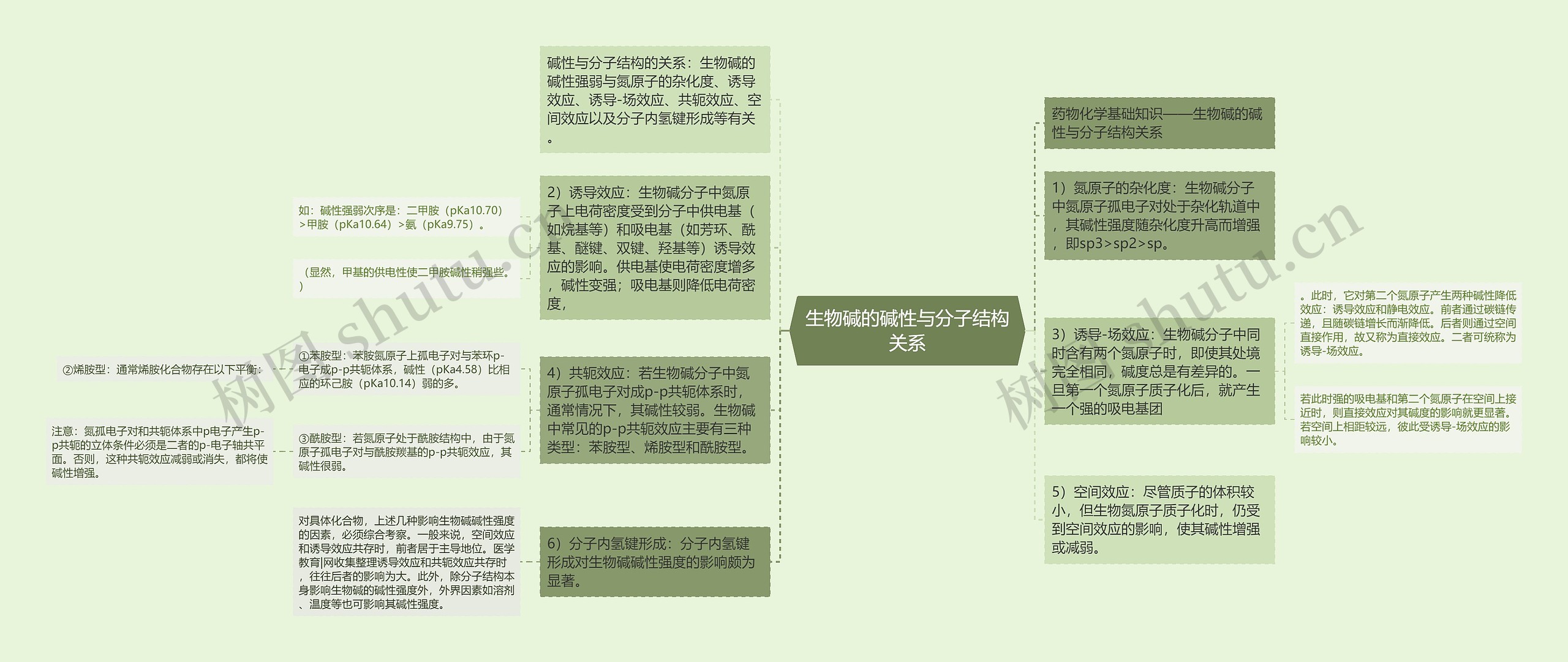 生物碱的碱性与分子结构关系思维导图