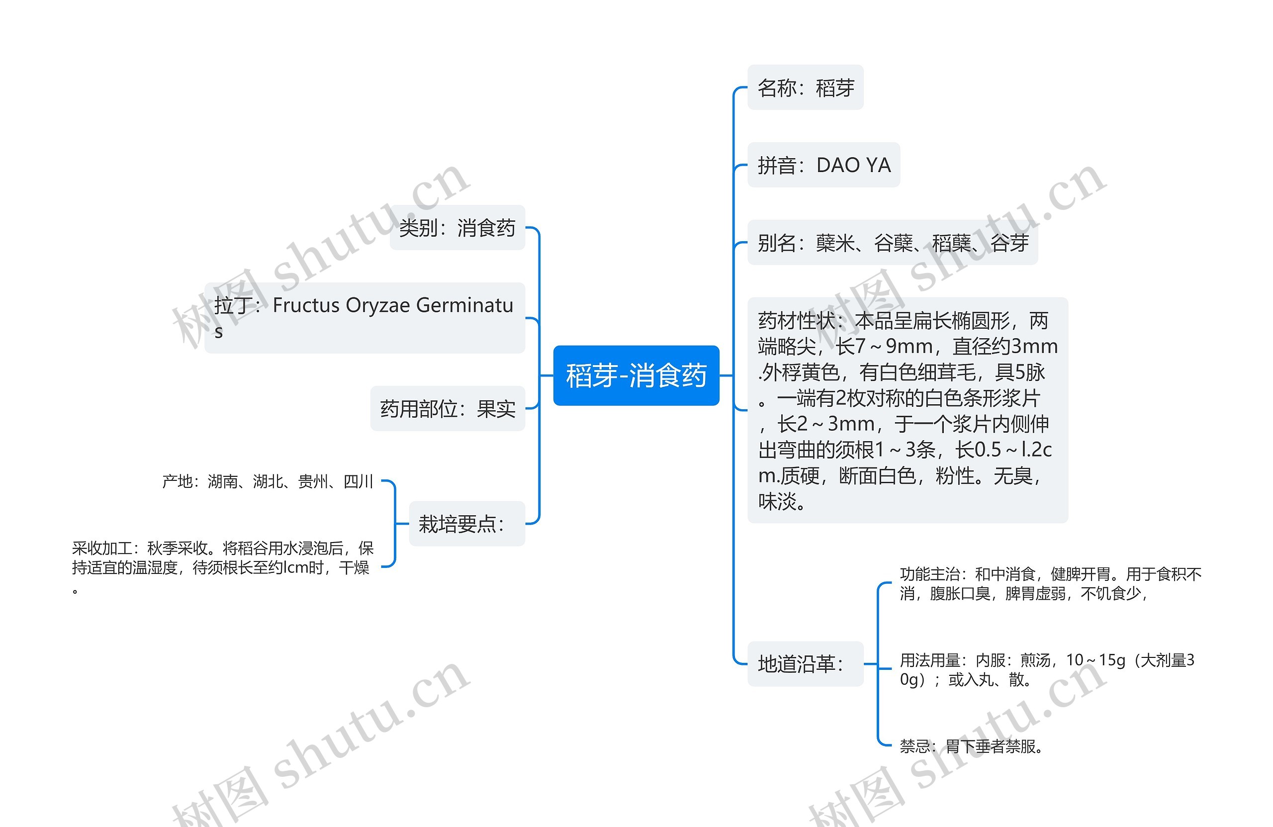 稻芽-消食药思维导图高清图 稻芽-消食药思维导图