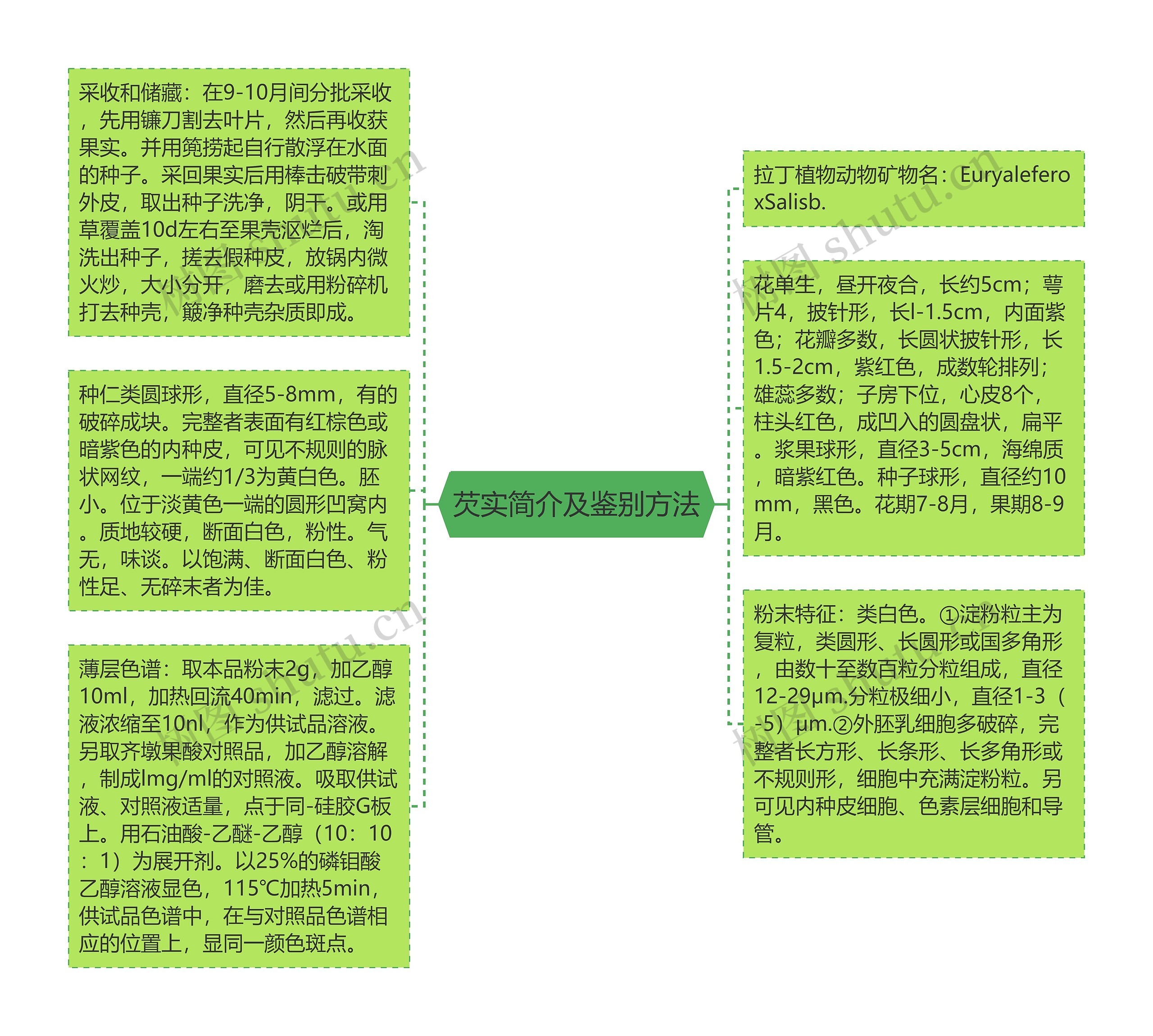 芡实简介及鉴别方法