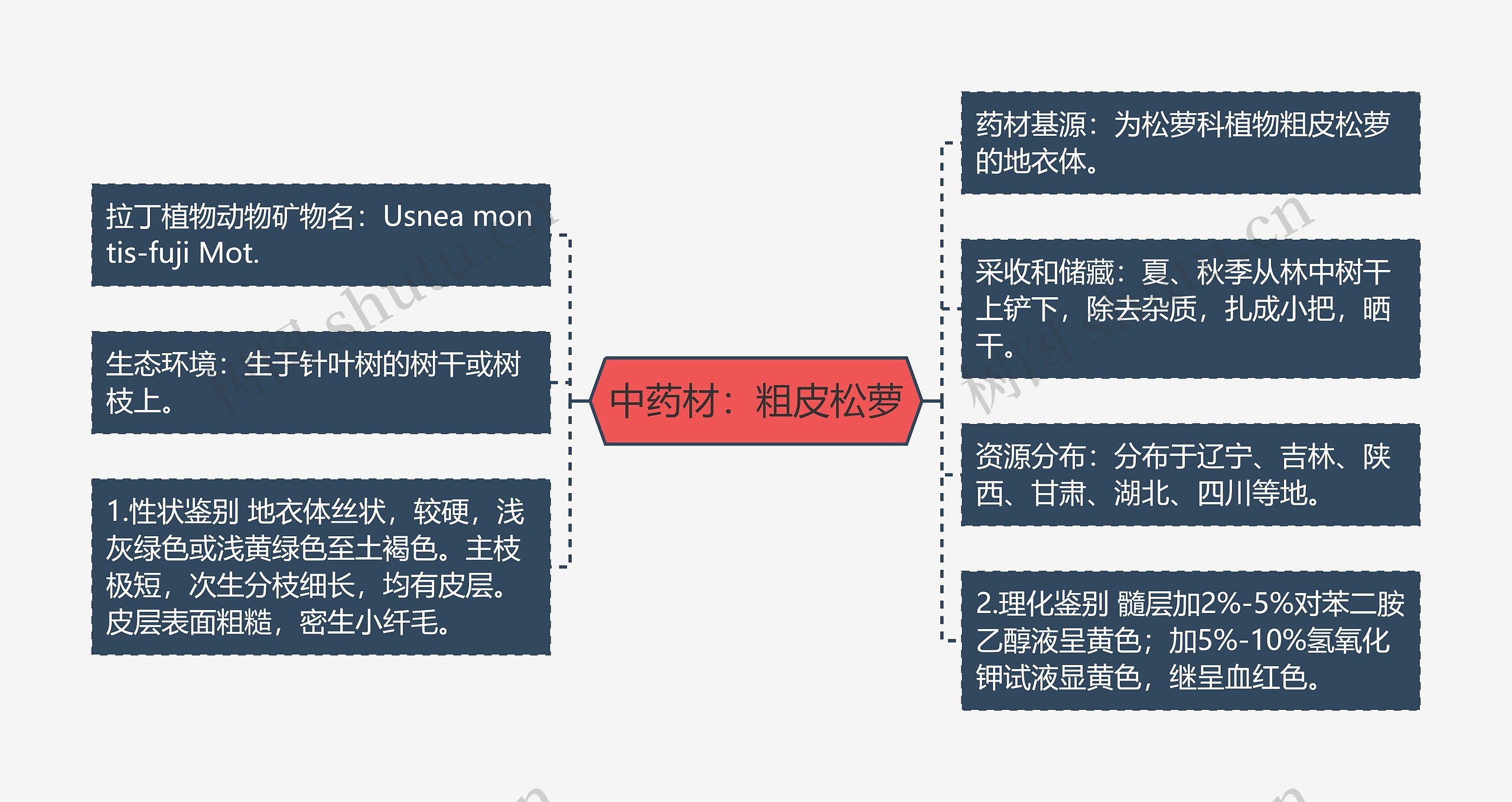 中药材：粗皮松萝思维导图