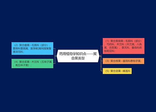 药用植物学知识点——聚合果类型