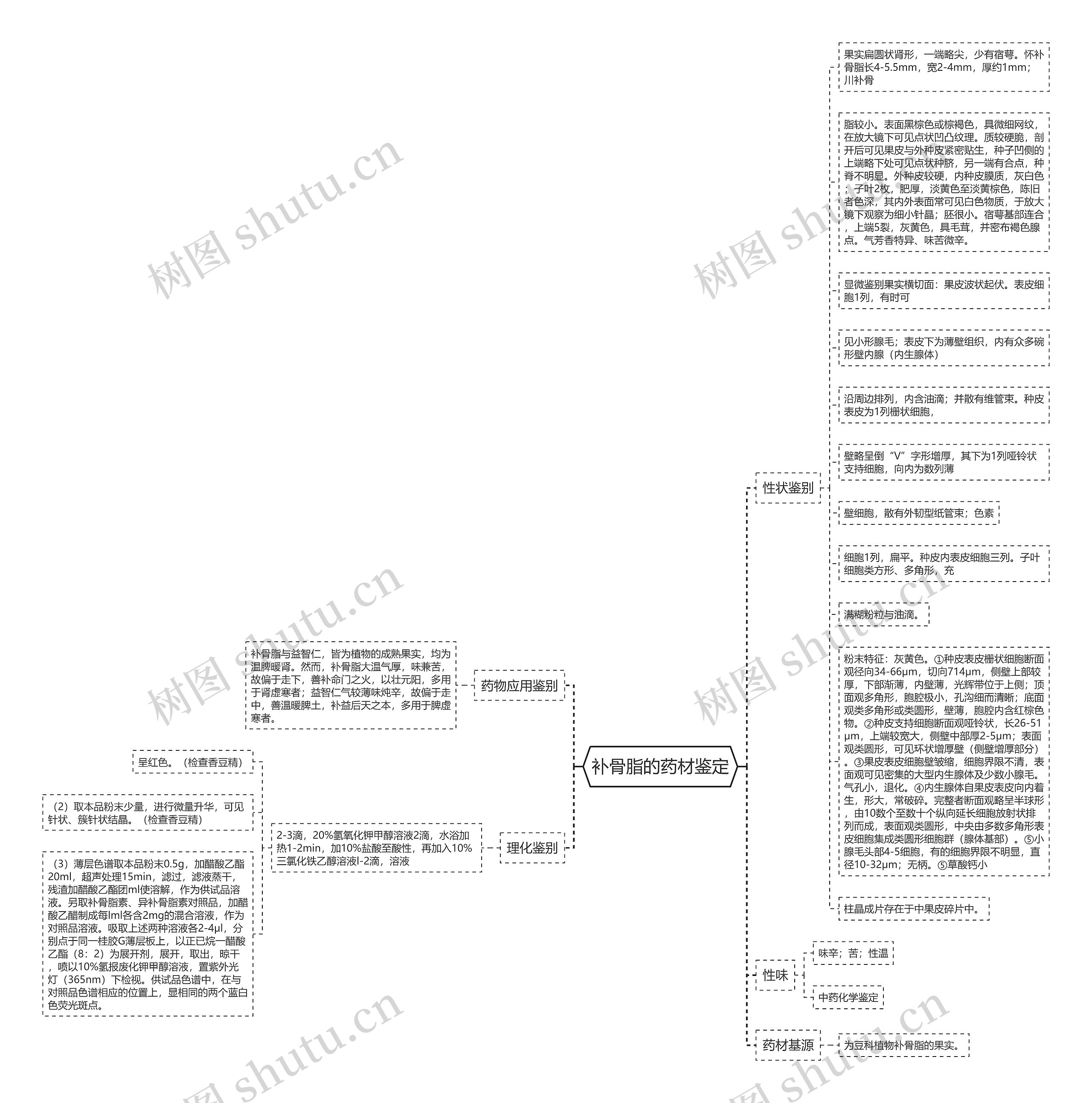 补骨脂的药材鉴定思维导图