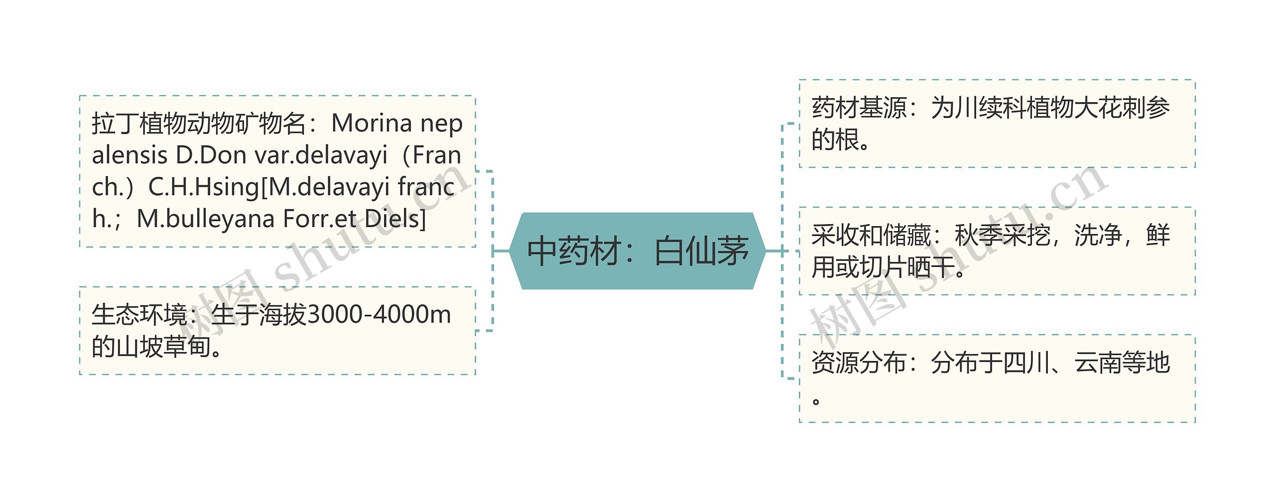 中药材：白仙茅
