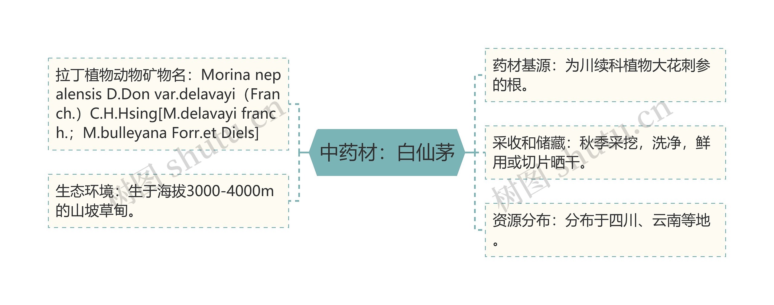 中药材：白仙茅思维导图