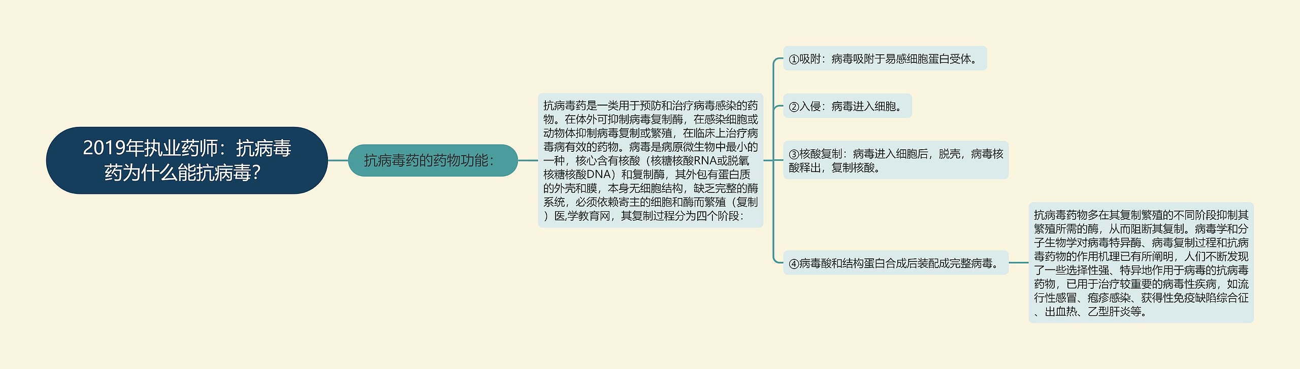 2019年执业药师：抗病毒药为什么能抗病毒？