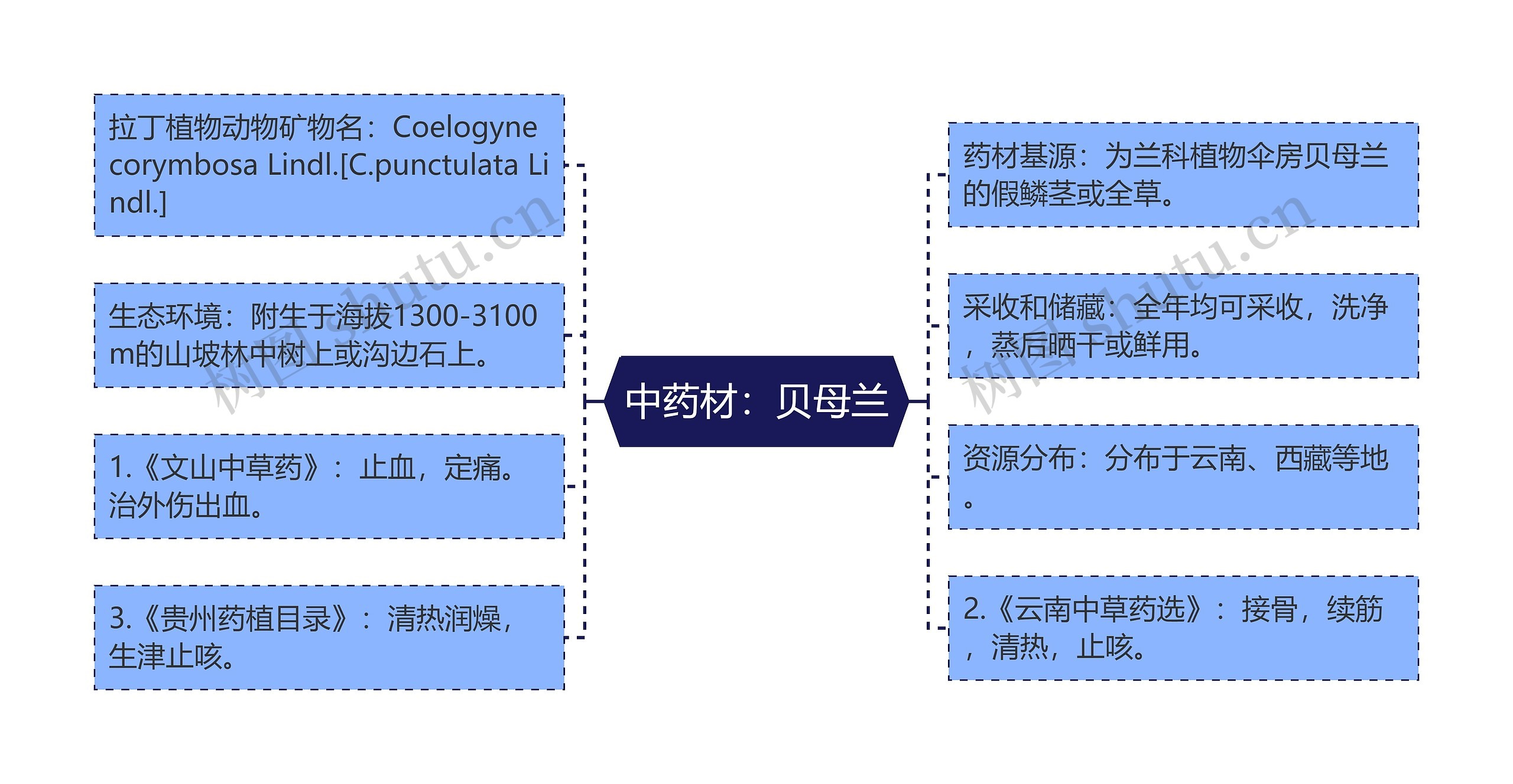 中药材：贝母兰思维导图