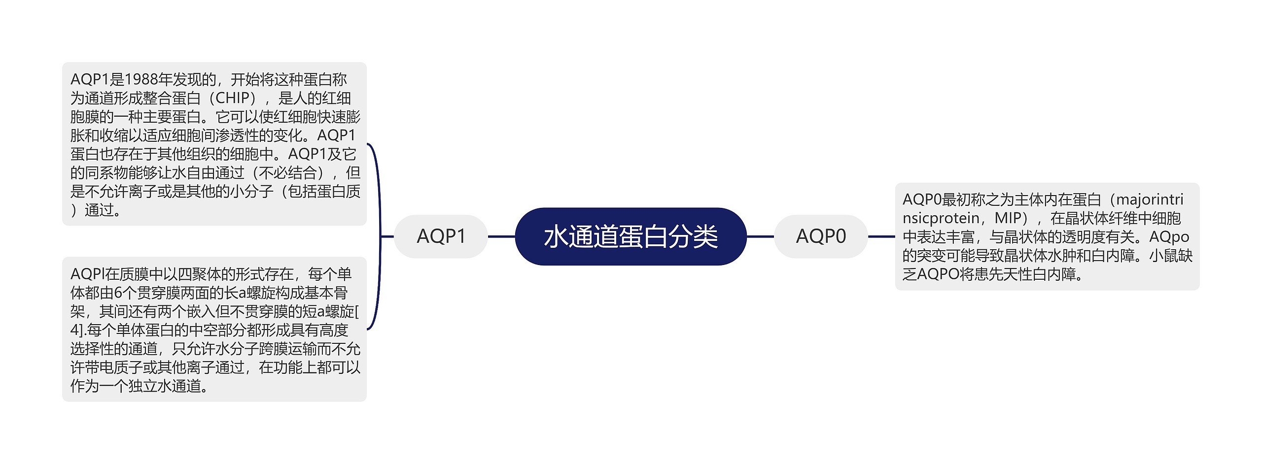 水通道蛋白分类思维导图