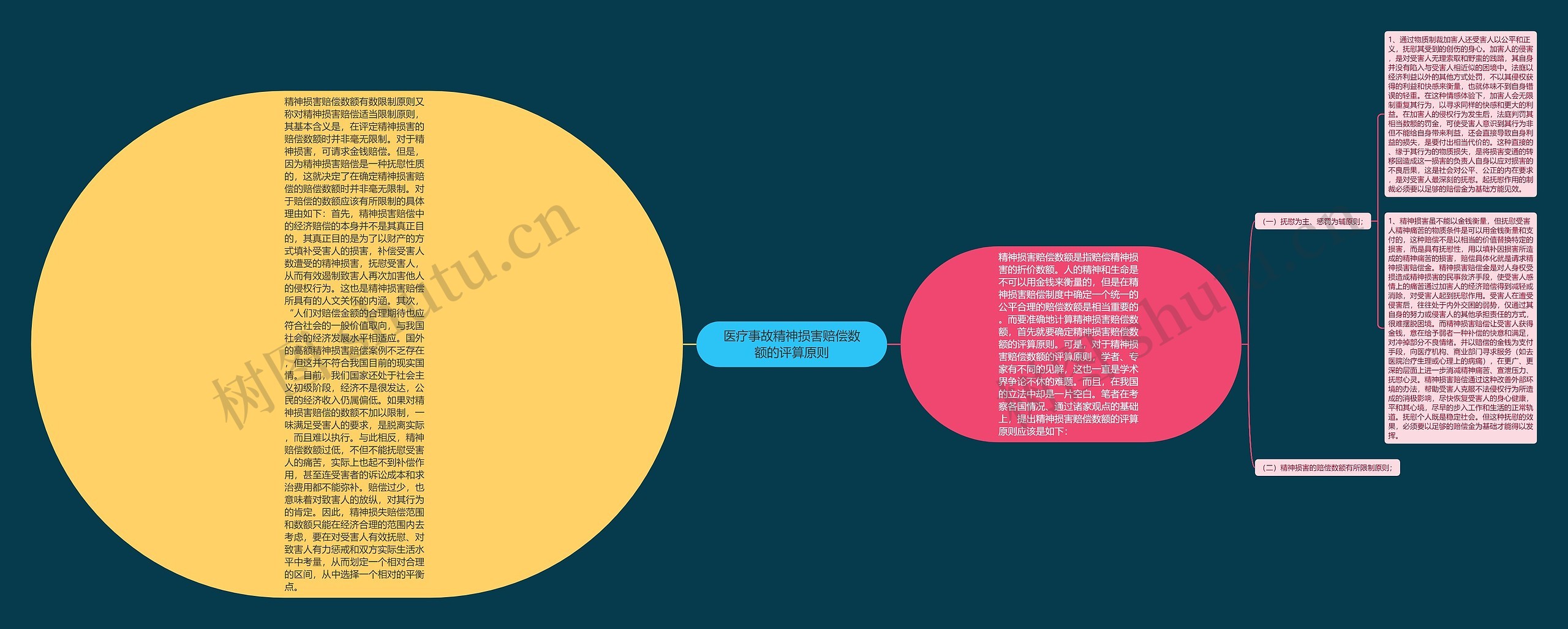 医疗事故精神损害赔偿数额的评算原则思维导图