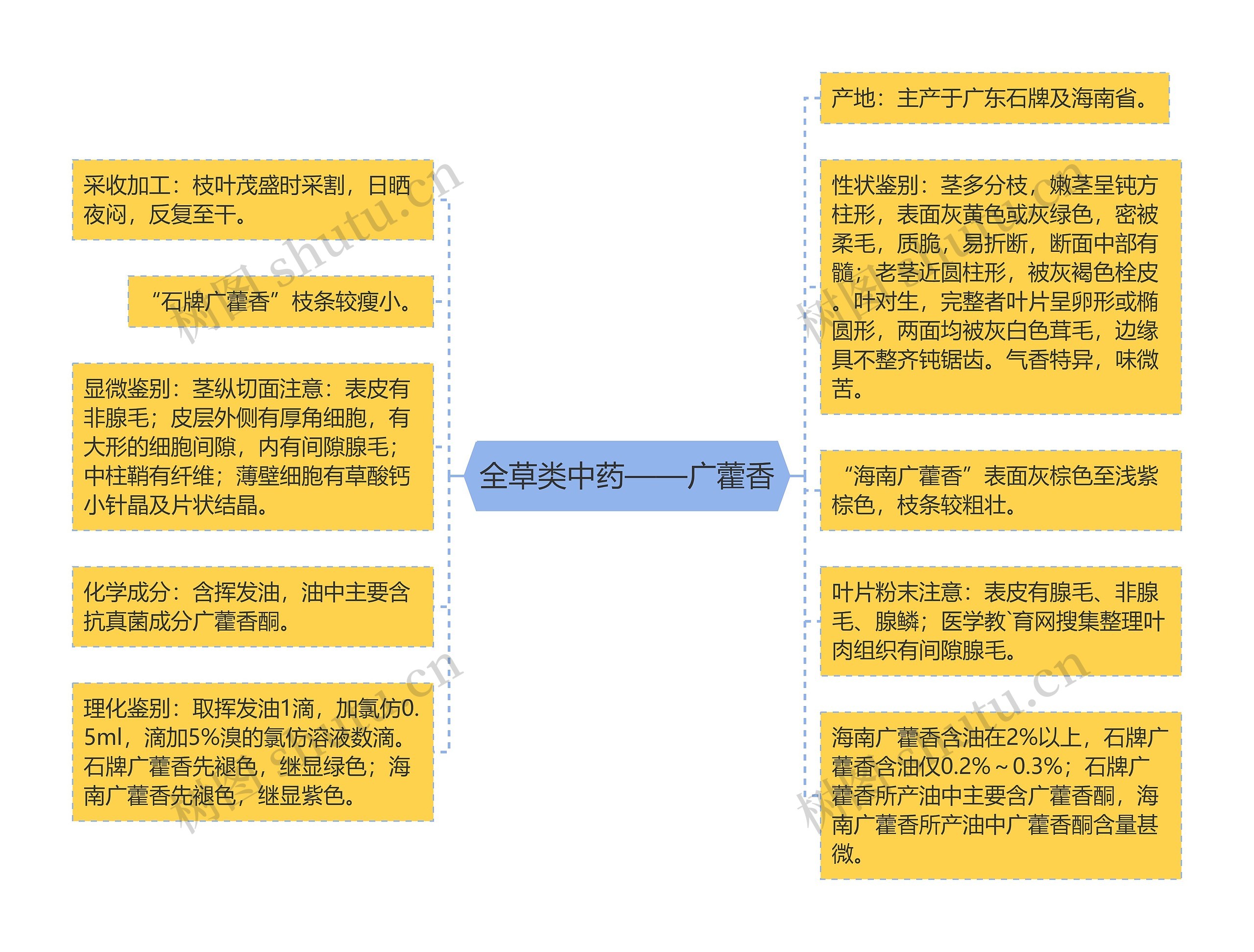 全草类中药——广藿香思维导图