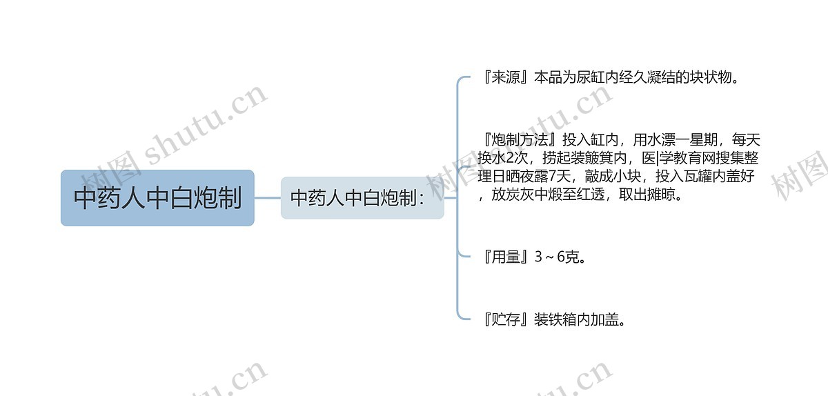 中药人中白炮制思维导图_编号p7291620-TreeMind树图