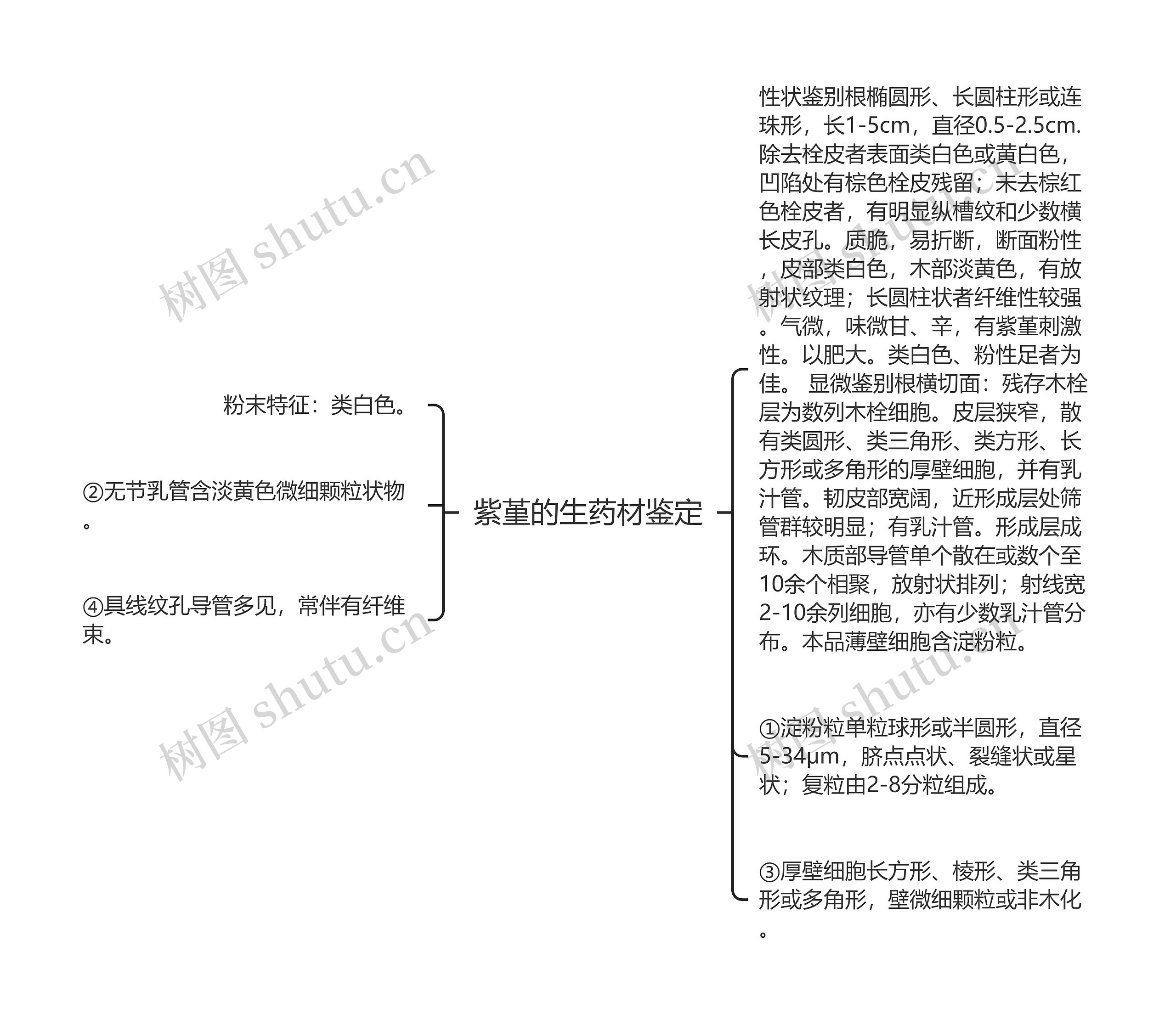 紫堇的生药材鉴定思维导图