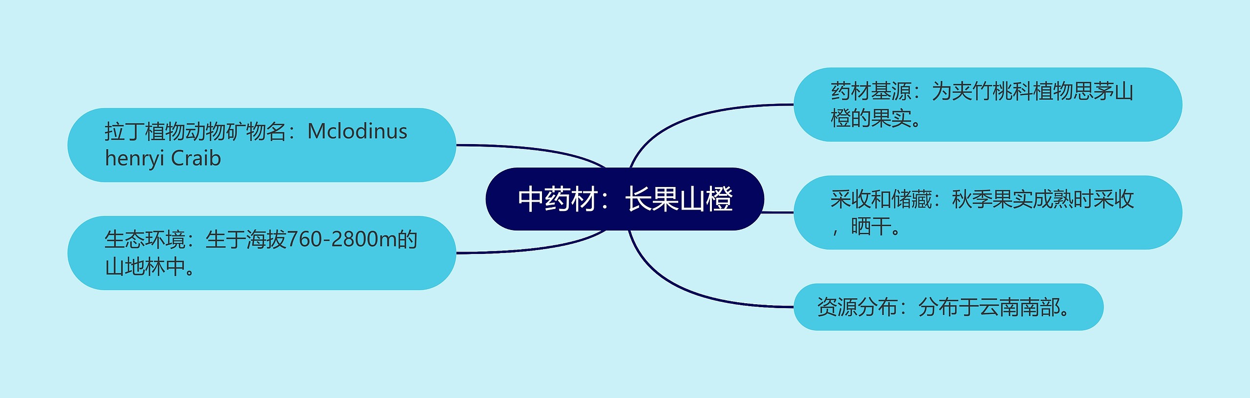 中药材：长果山橙思维导图