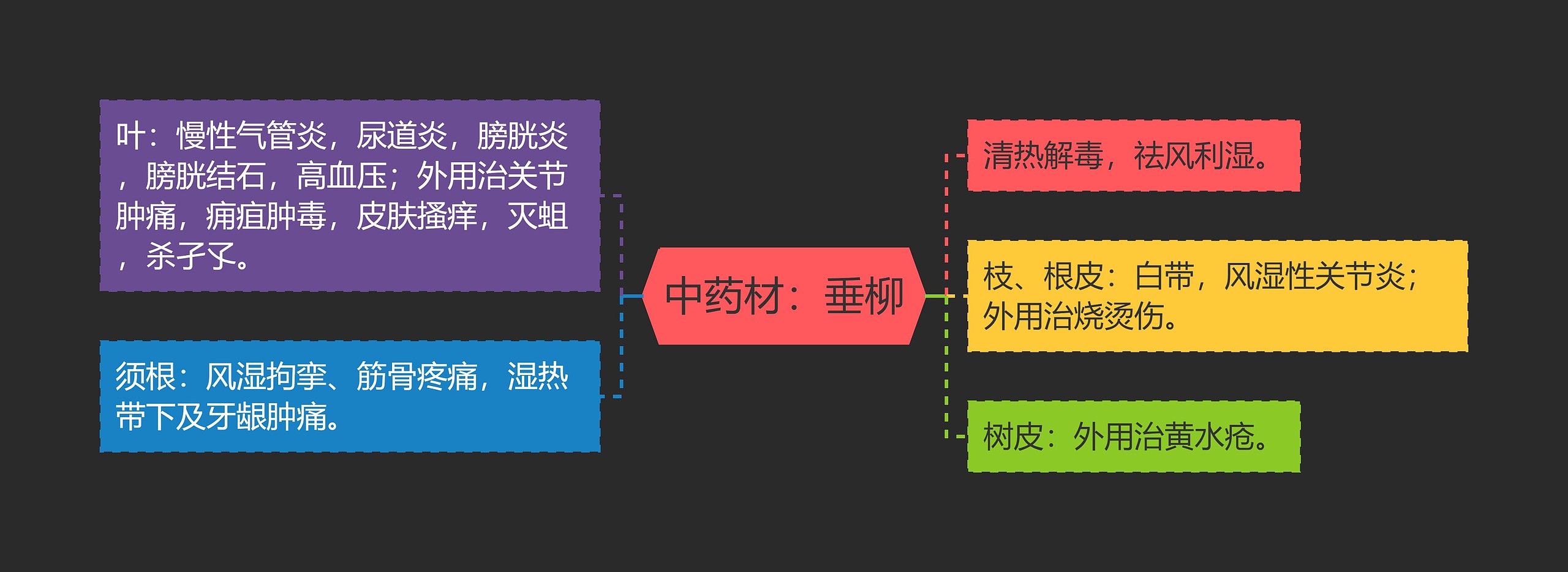 中药材：垂柳思维导图