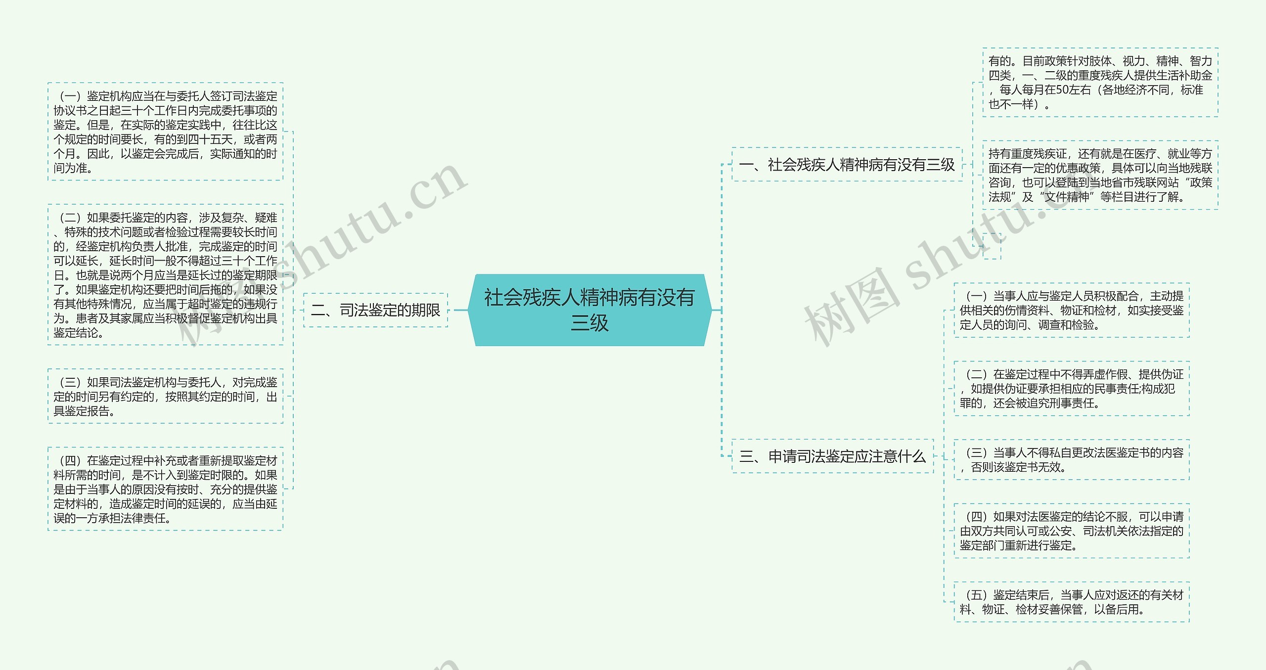 社会残疾人精神病有没有三级思维导图