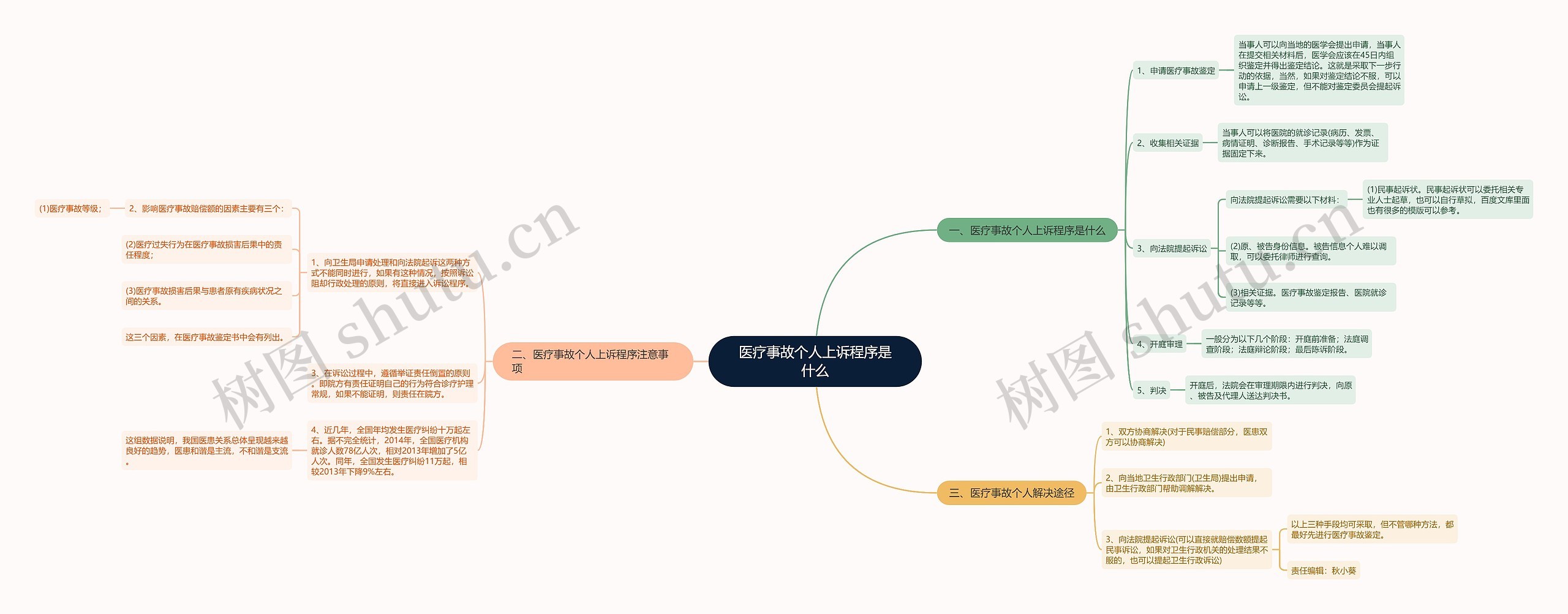 医疗事故个人上诉程序是什么思维导图