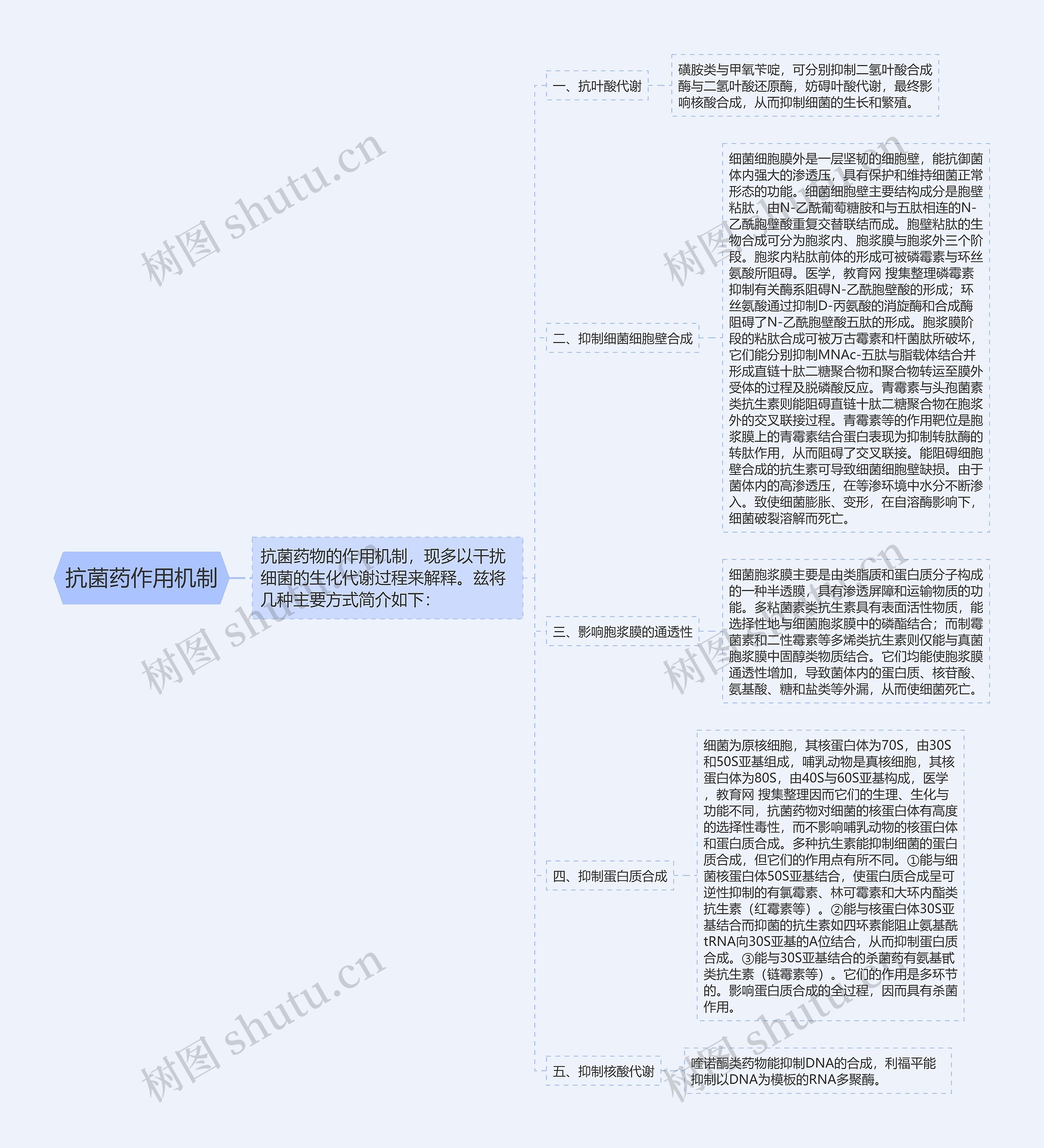 抗菌药作用机制思维导图