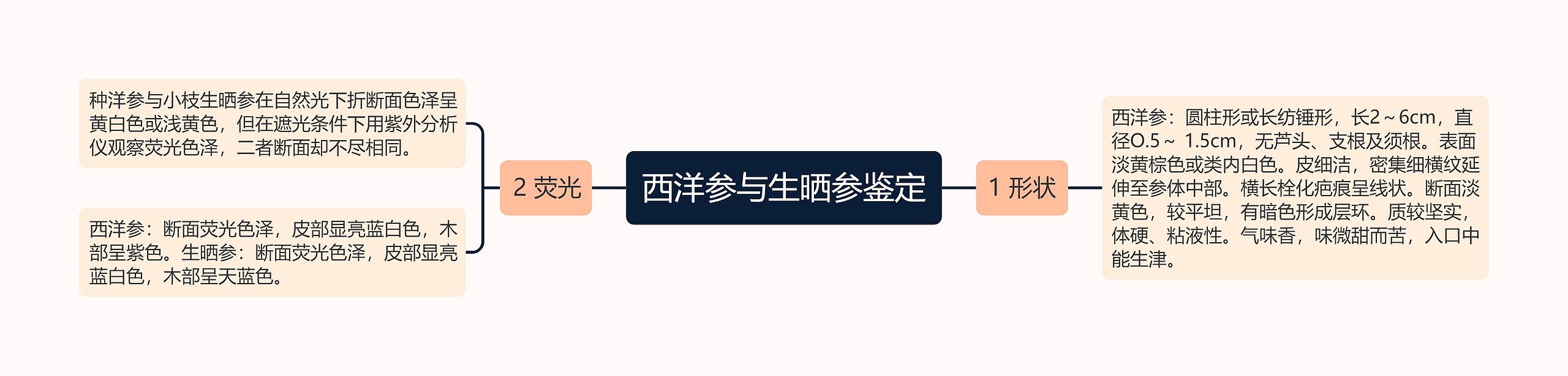 西洋参与生晒参鉴定 西洋参与生晒参鉴定