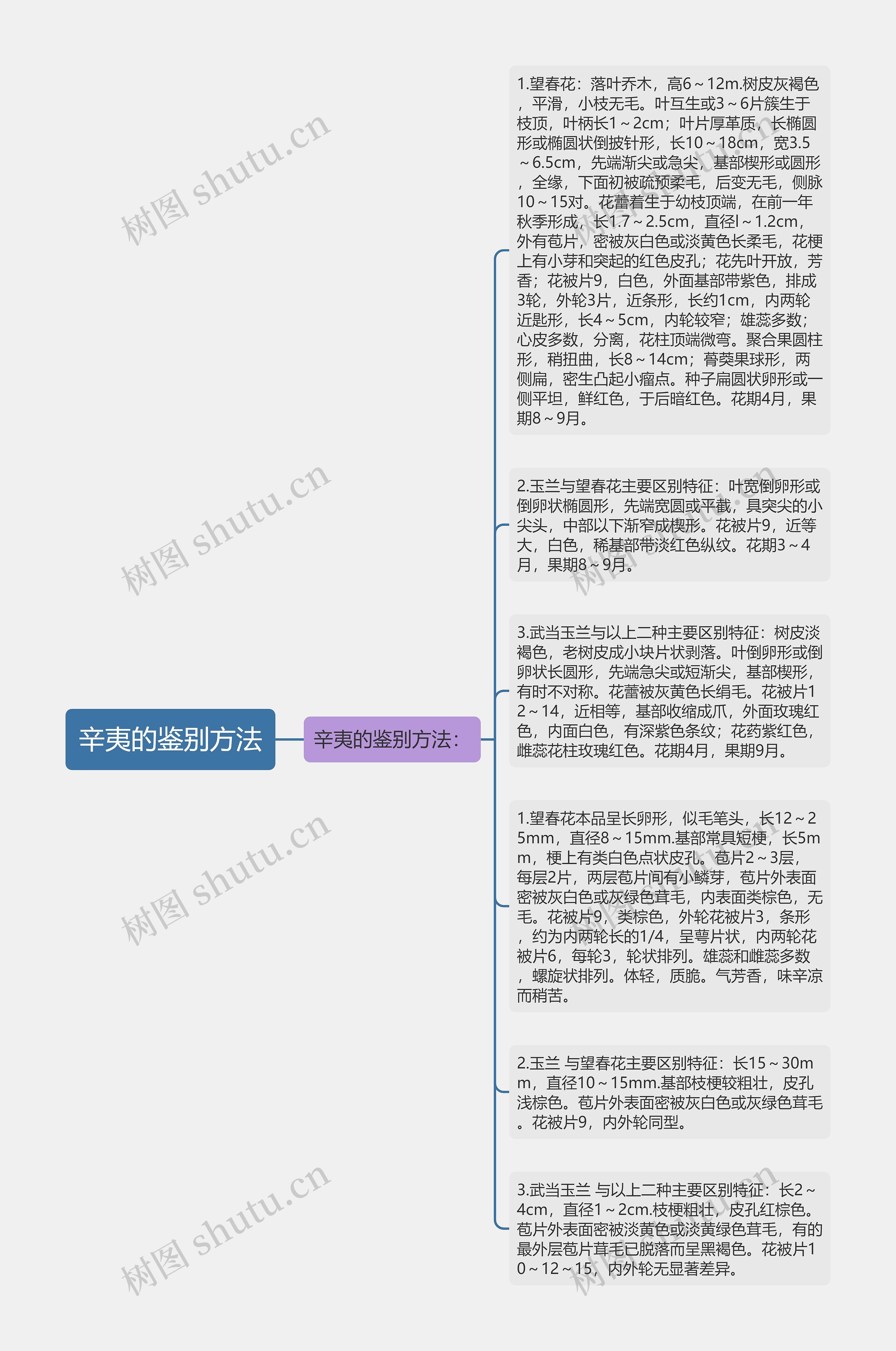 辛夷的鉴别方法