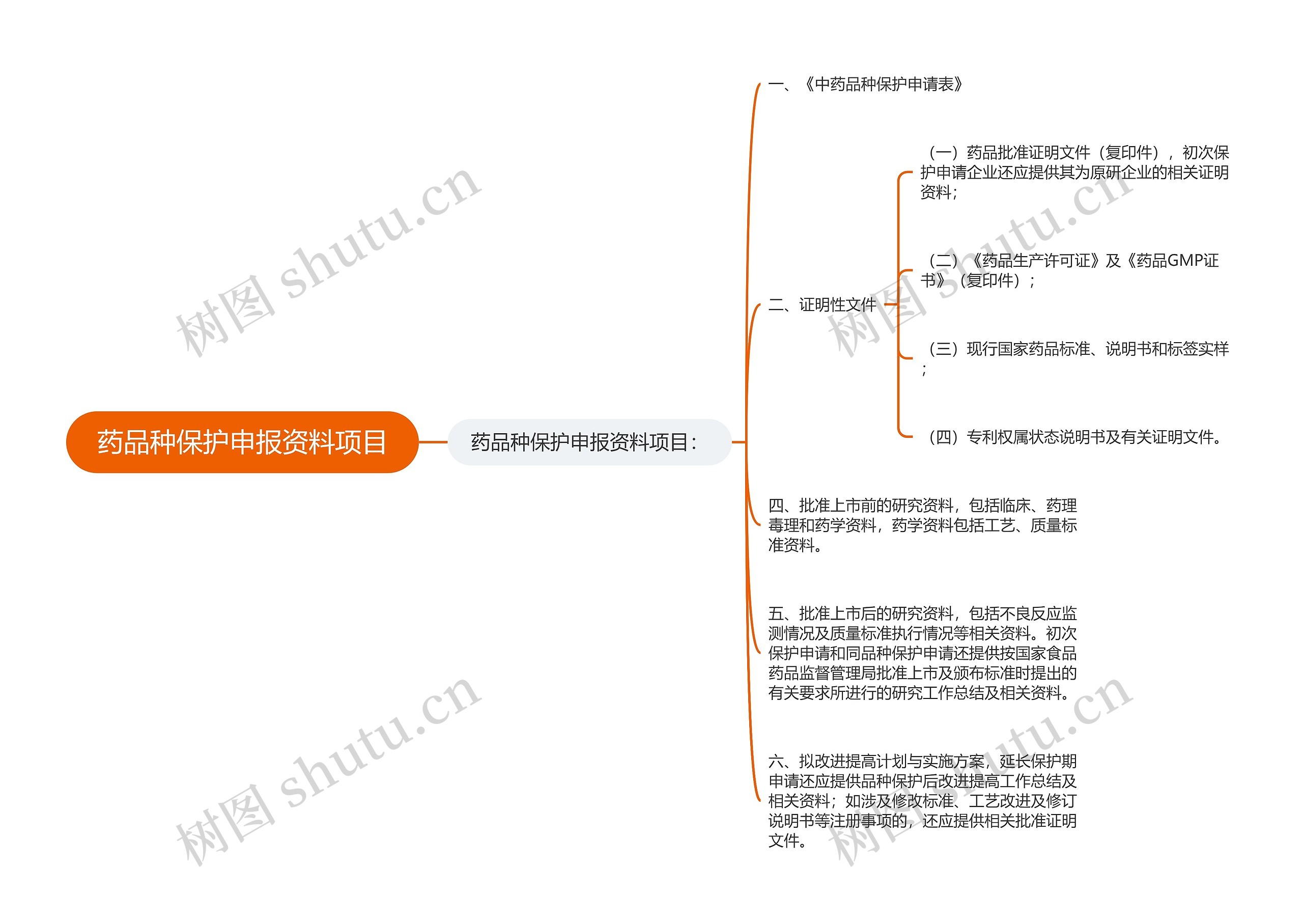 药品种保护申报资料项目思维导图