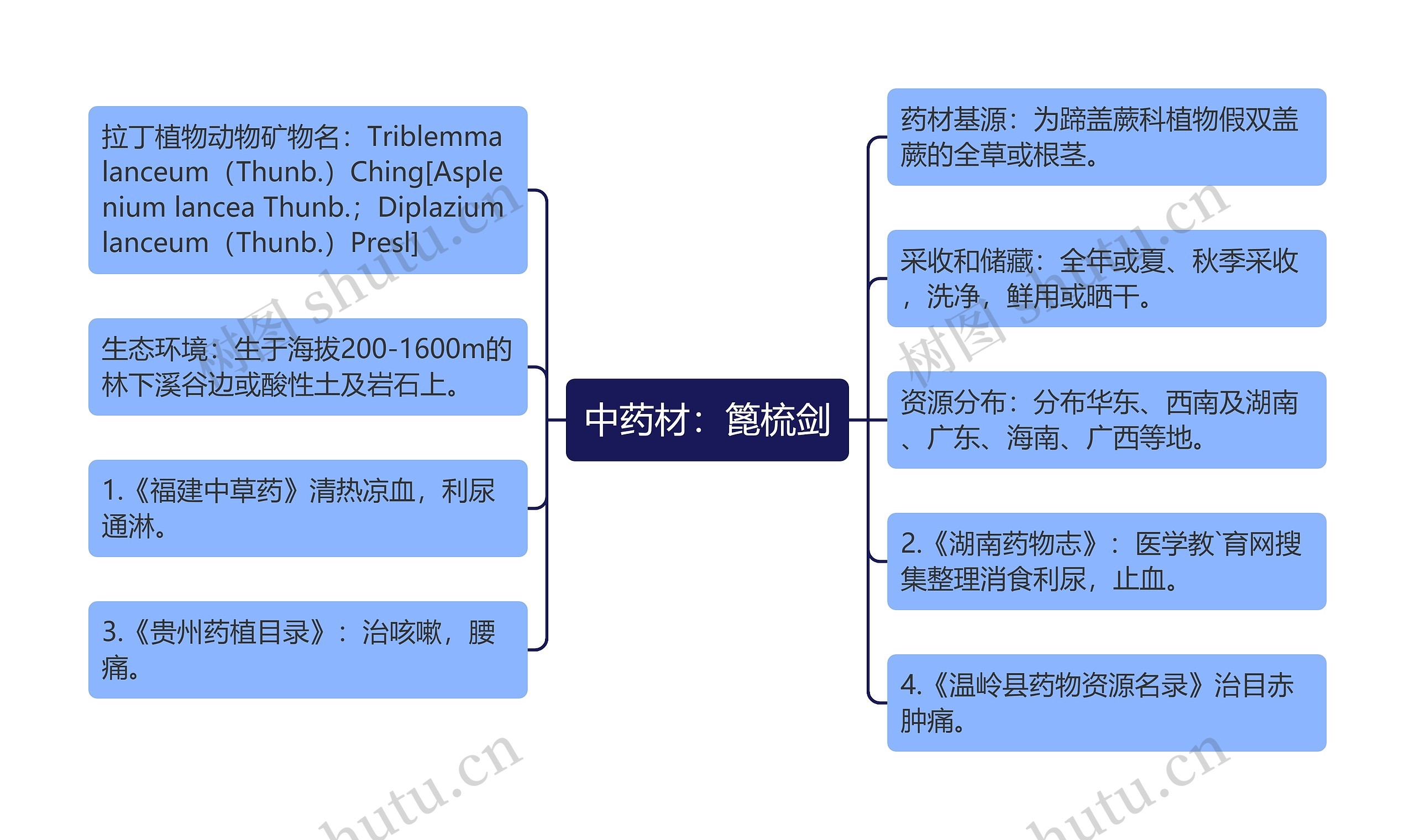 中药材：篦梳剑思维导图