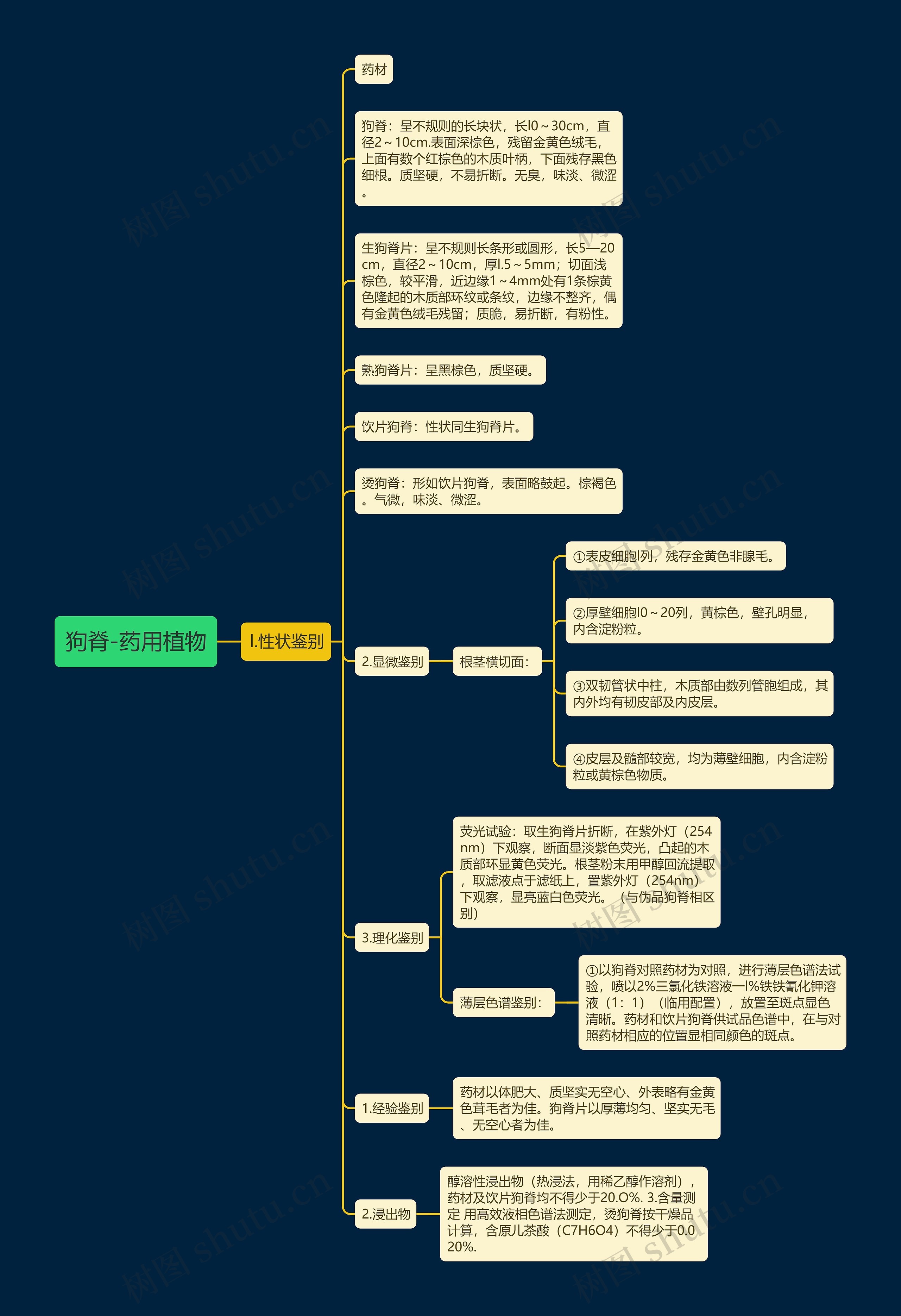 狗脊-药用植物 狗脊-药用植物