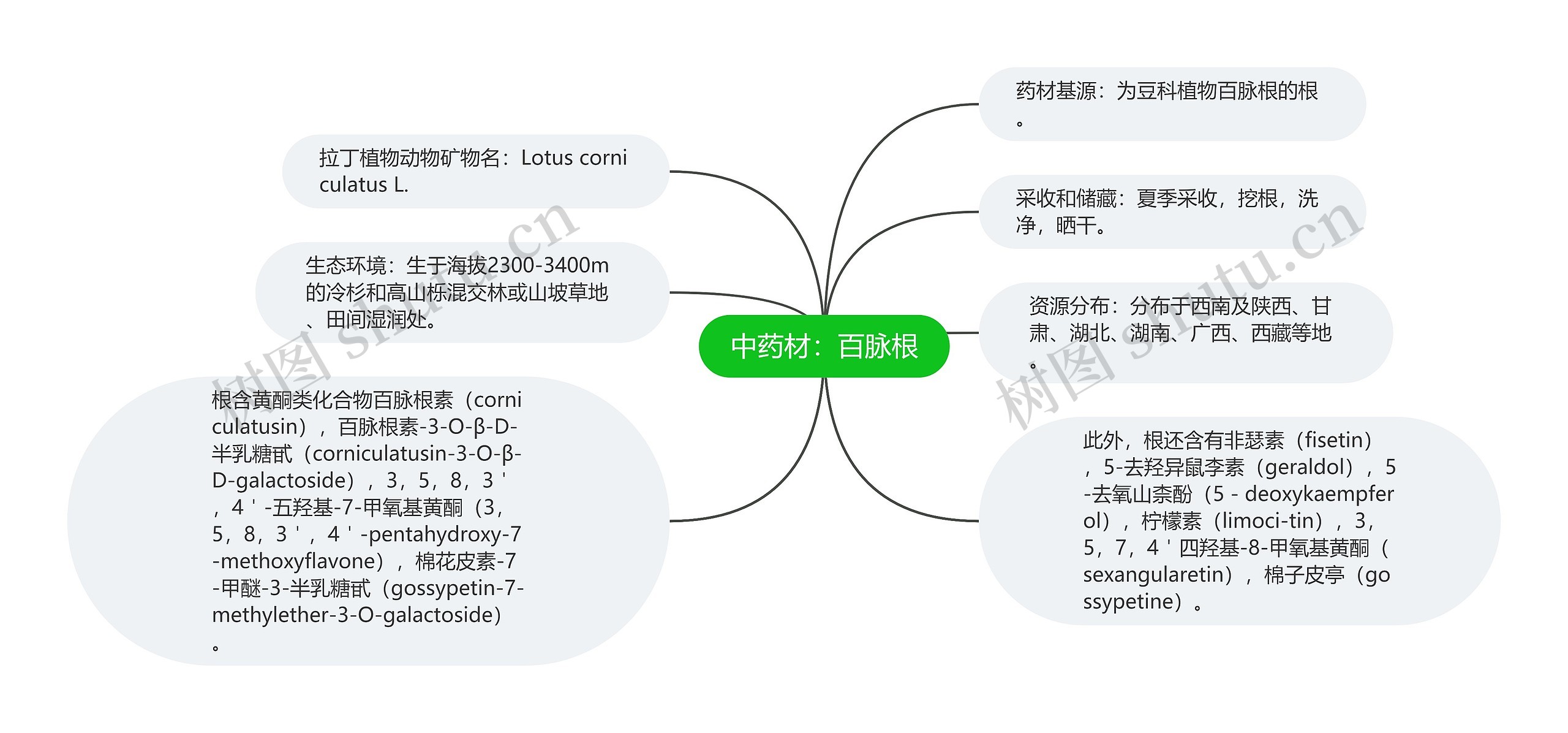 中药材：百脉根