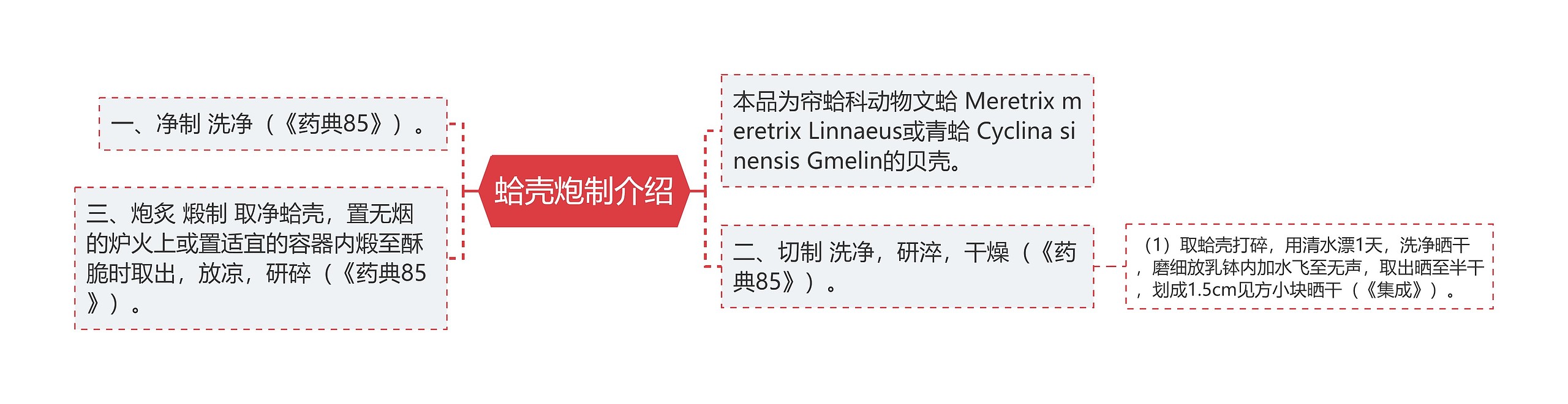 蛤壳炮制介绍思维导图