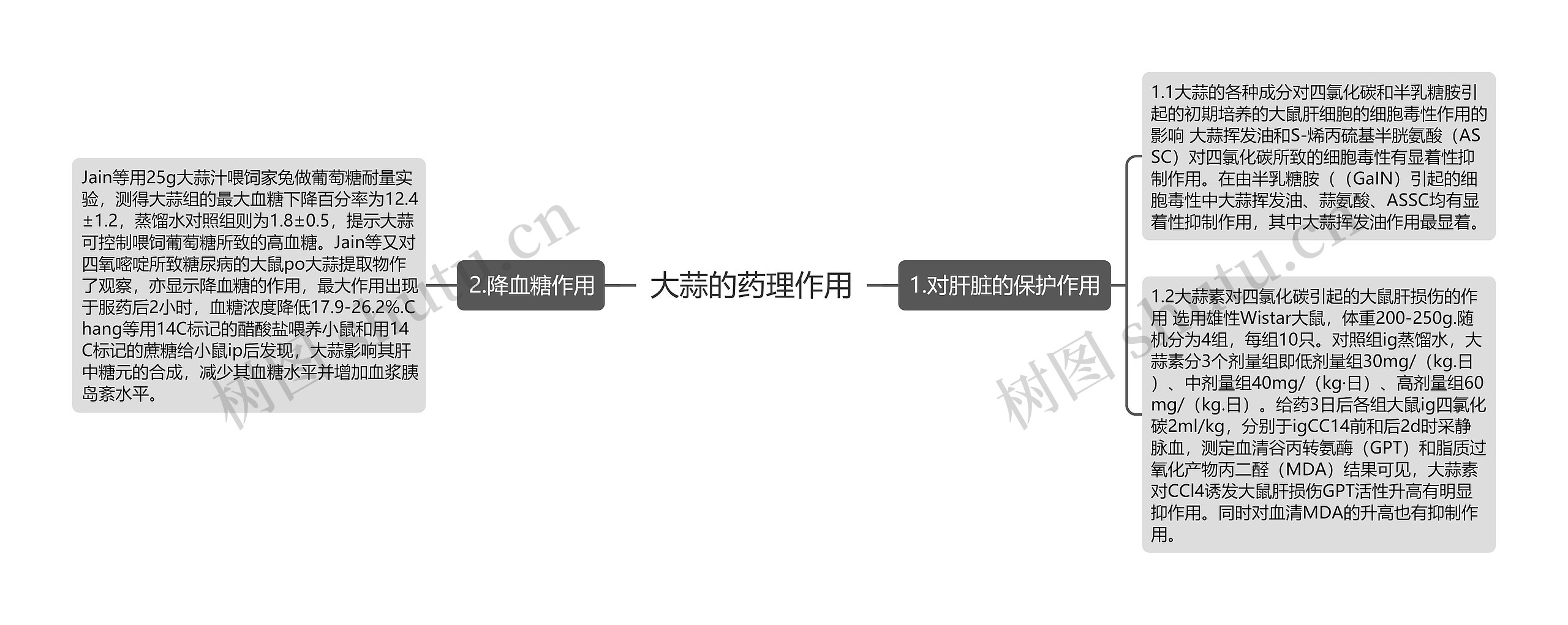 大蒜的药理作用思维导图