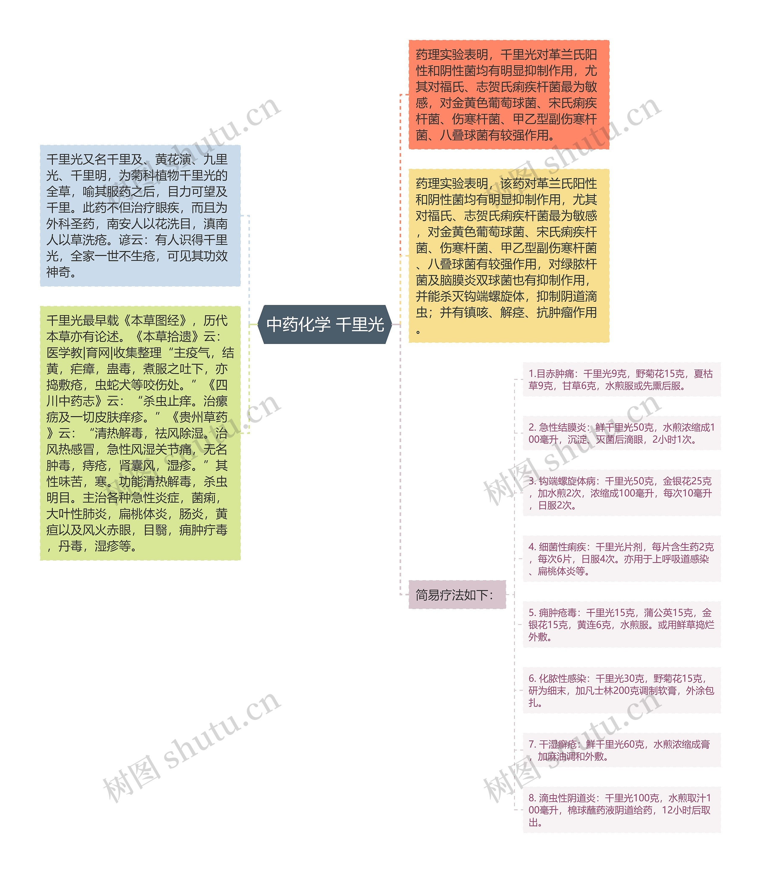 中药化学 千里光思维导图