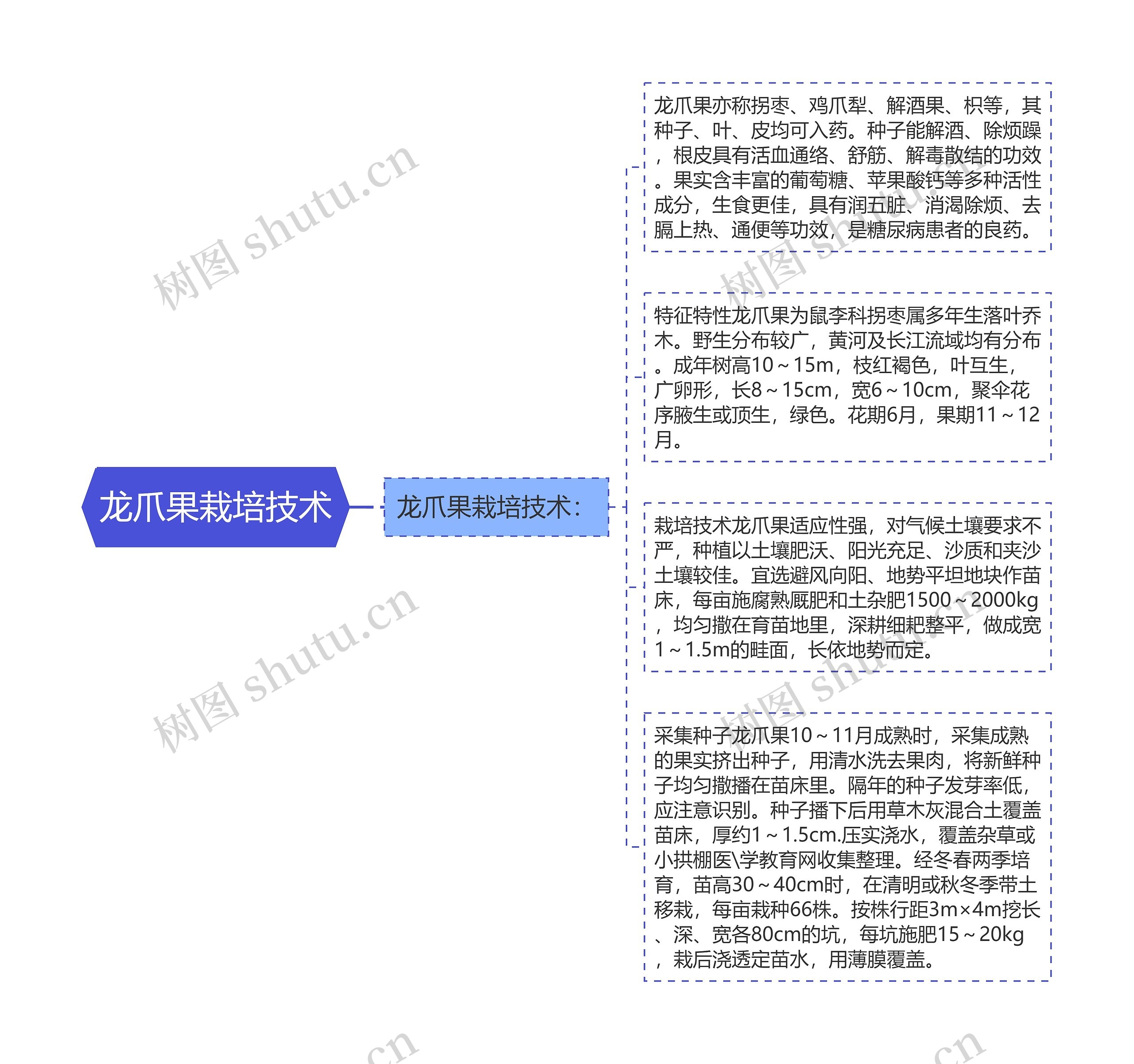 龙爪果栽培技术思维导图