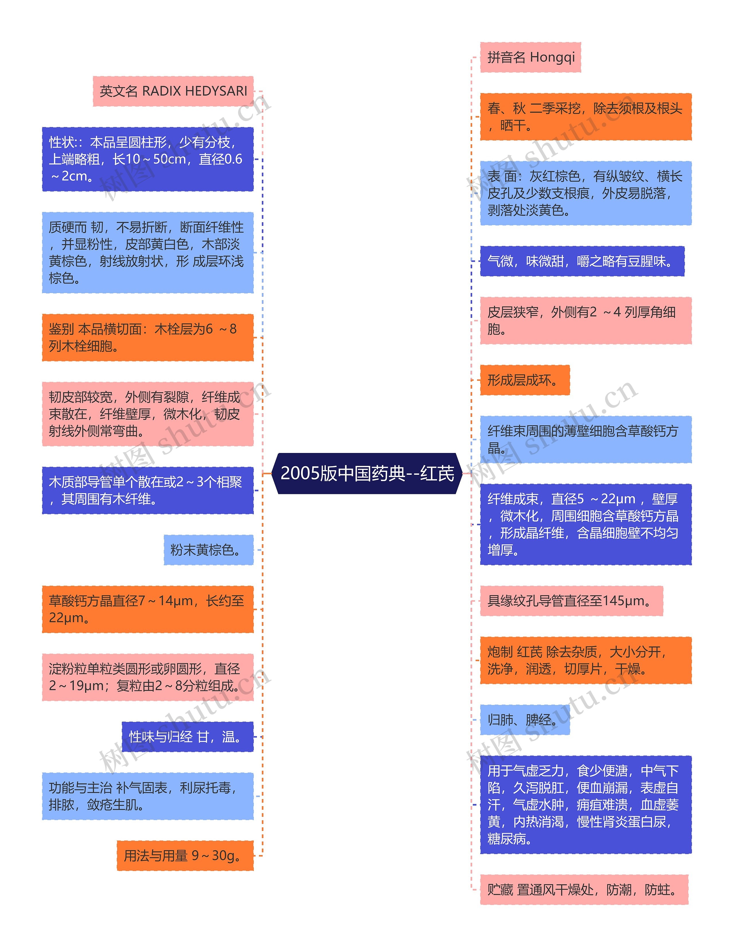2005版中国药典--红芪思维导图