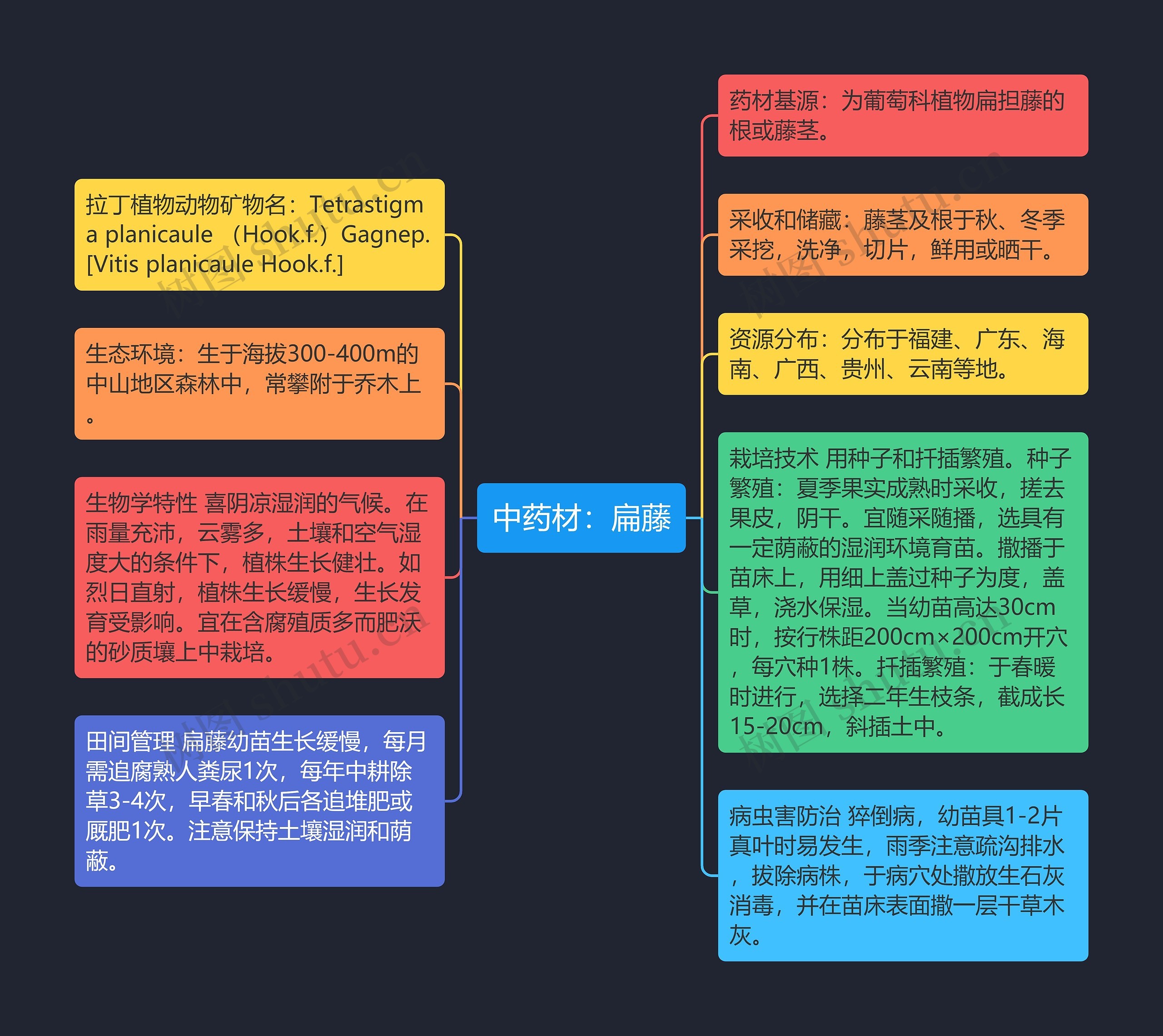 中药材：扁藤思维导图